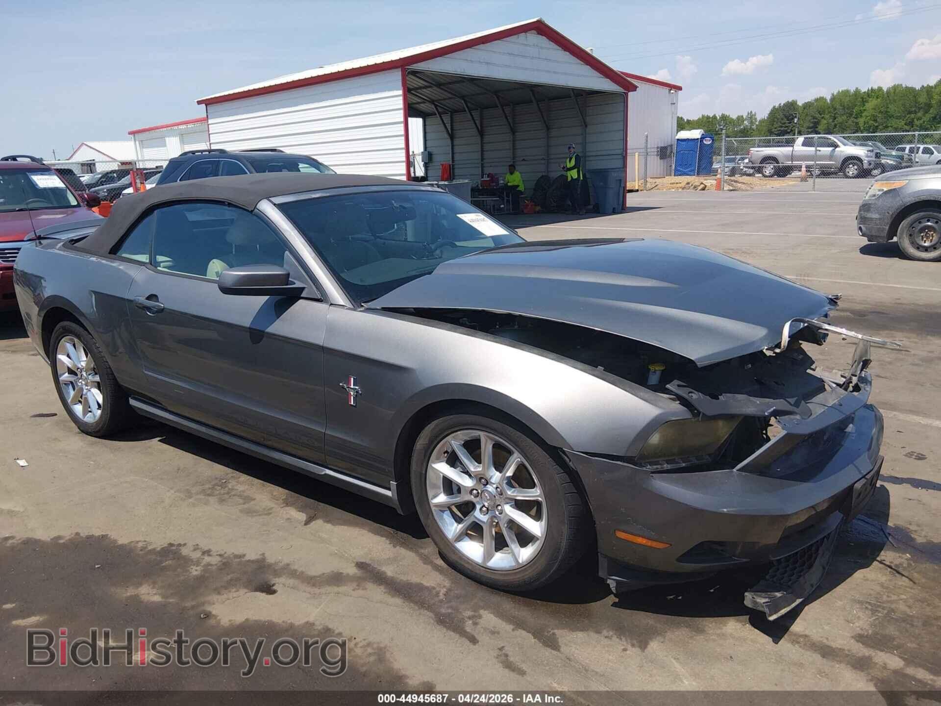 Фотография 1ZVBP8EM8B5114099 - FORD MUSTANG 2011