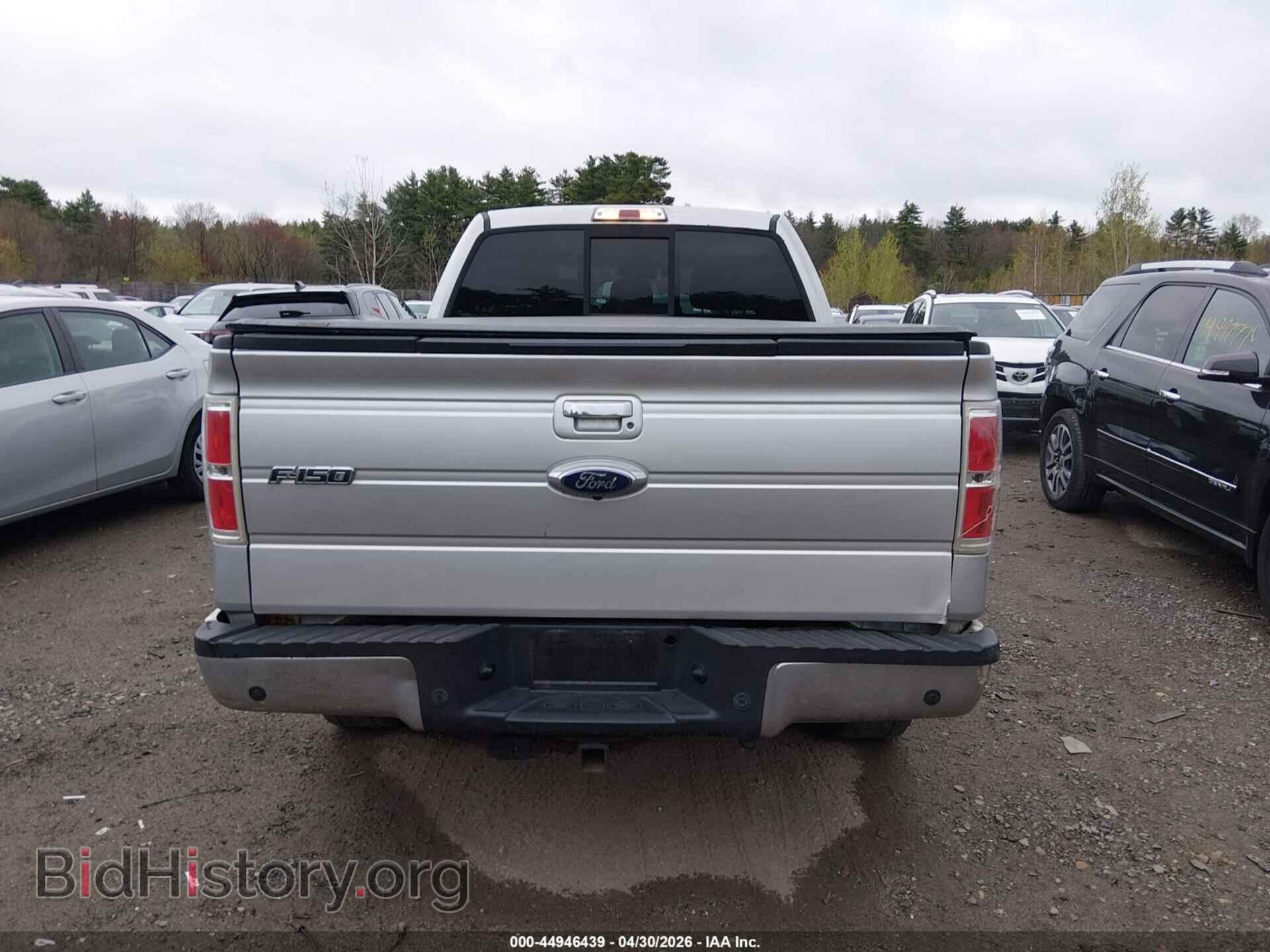 2013 FORD F-150 - VIN: 1FTFW1EF3DKE30997 - Фото 16