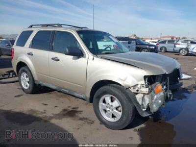 2010 Ford ESCAPE XLT, gold — VIN 1FMCU0DG9AKC30839, IAAI