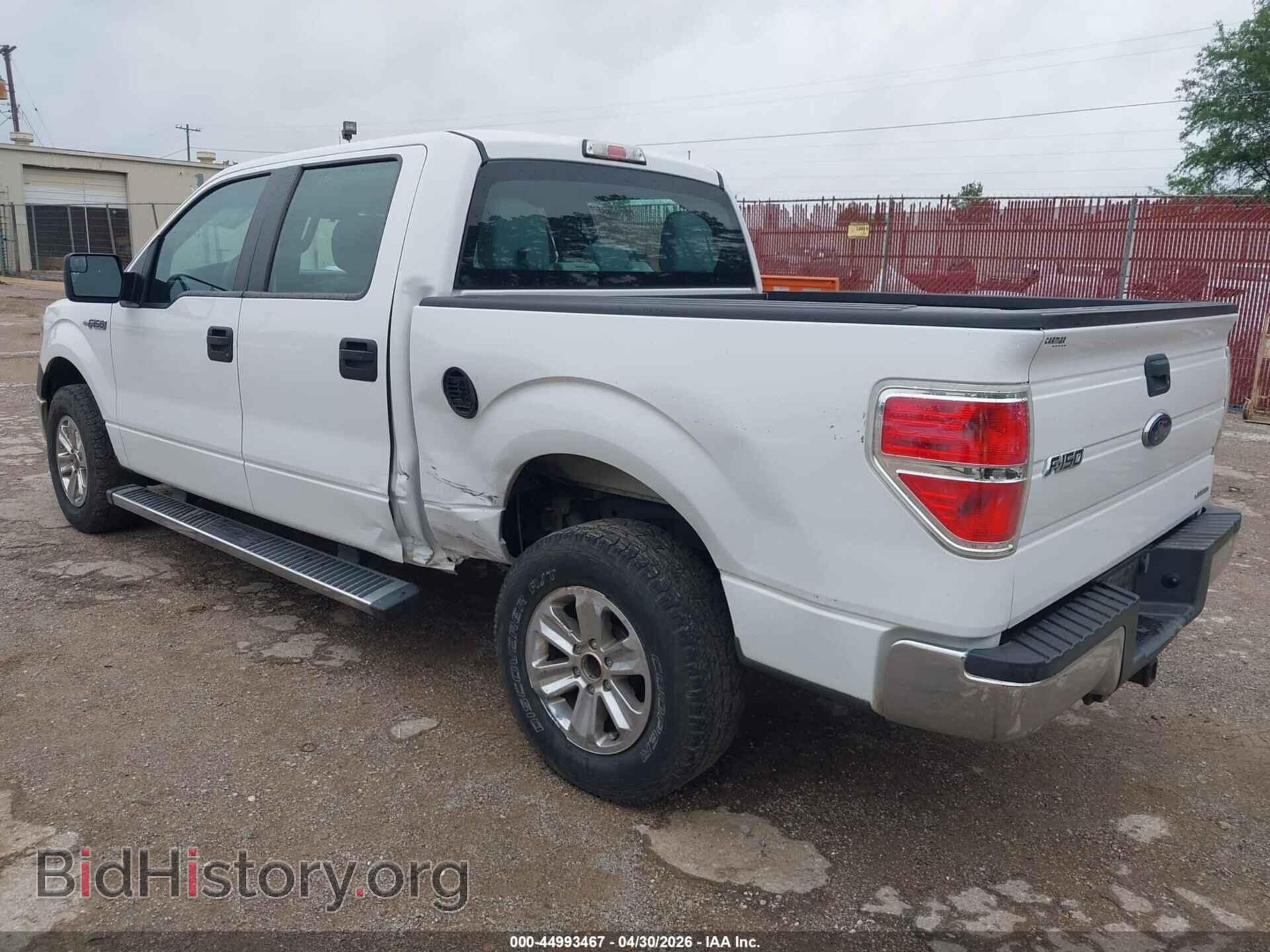 2013 FORD F-150 - VIN: 1FTFW1CF5DFA94166 - Фото 3