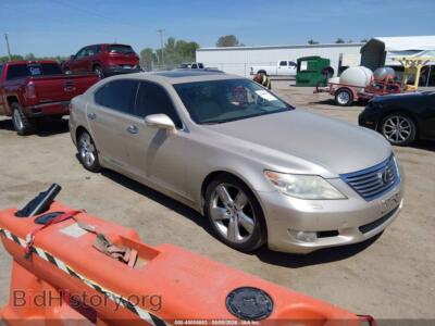 2011 Lexus LS 460 L, шампань — VIN JTHGL5EF3B5043106, IAAI