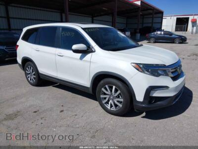 2020 Honda PILOT 2WD EX-L, white — VIN 5FNYF5H56LB009385, IAAI