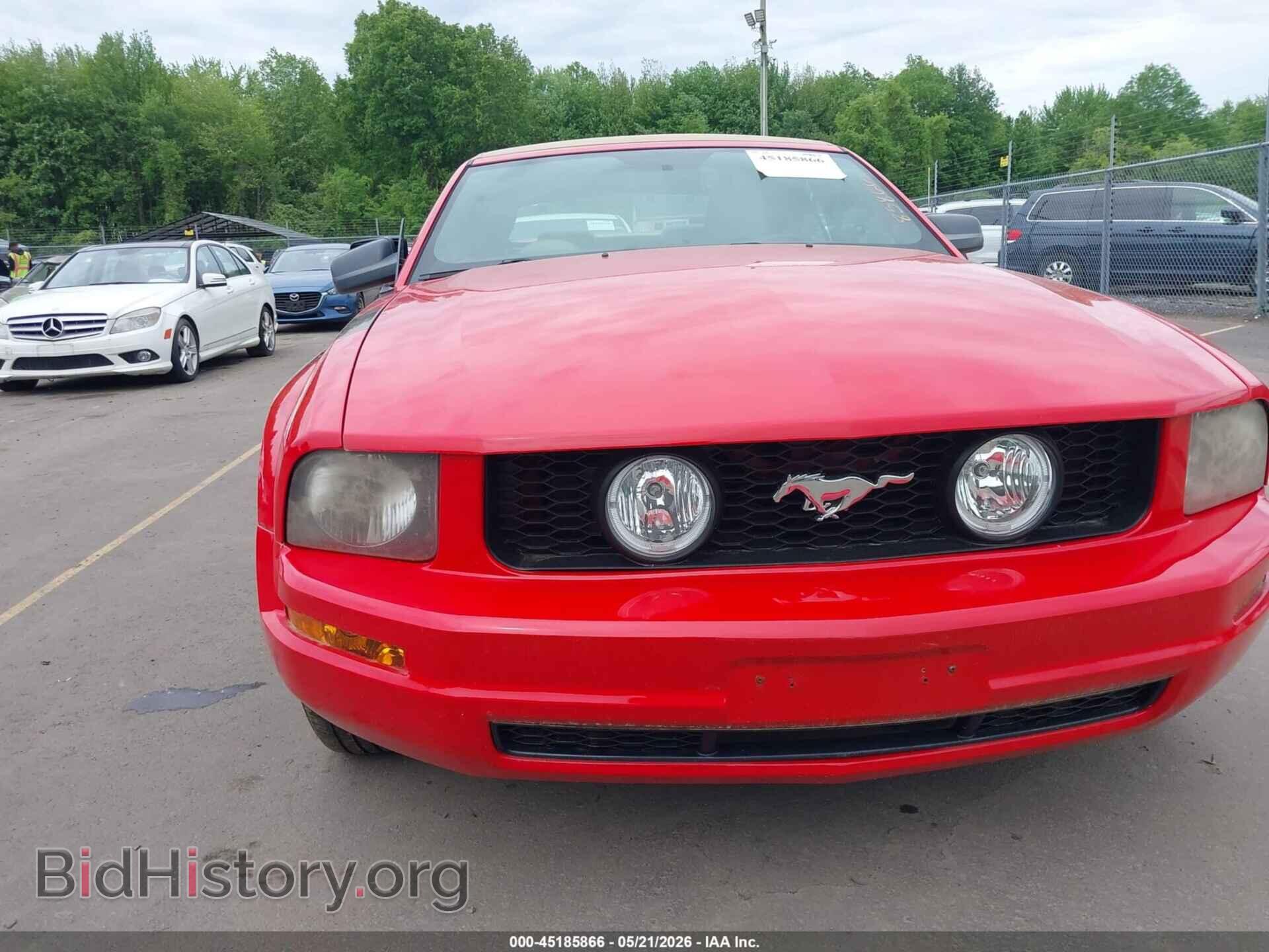 2006 FORD MUSTANG - VIN: 1ZVFT84N365242022 - Фото 6