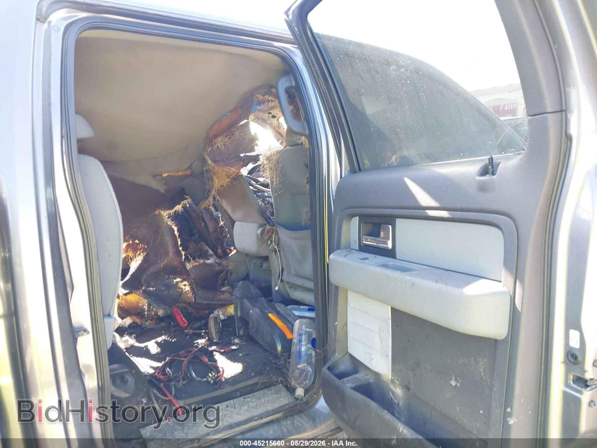 2013 FORD F-150 - VIN: 1FTFW1EF4DFD12496 - Фото 8
