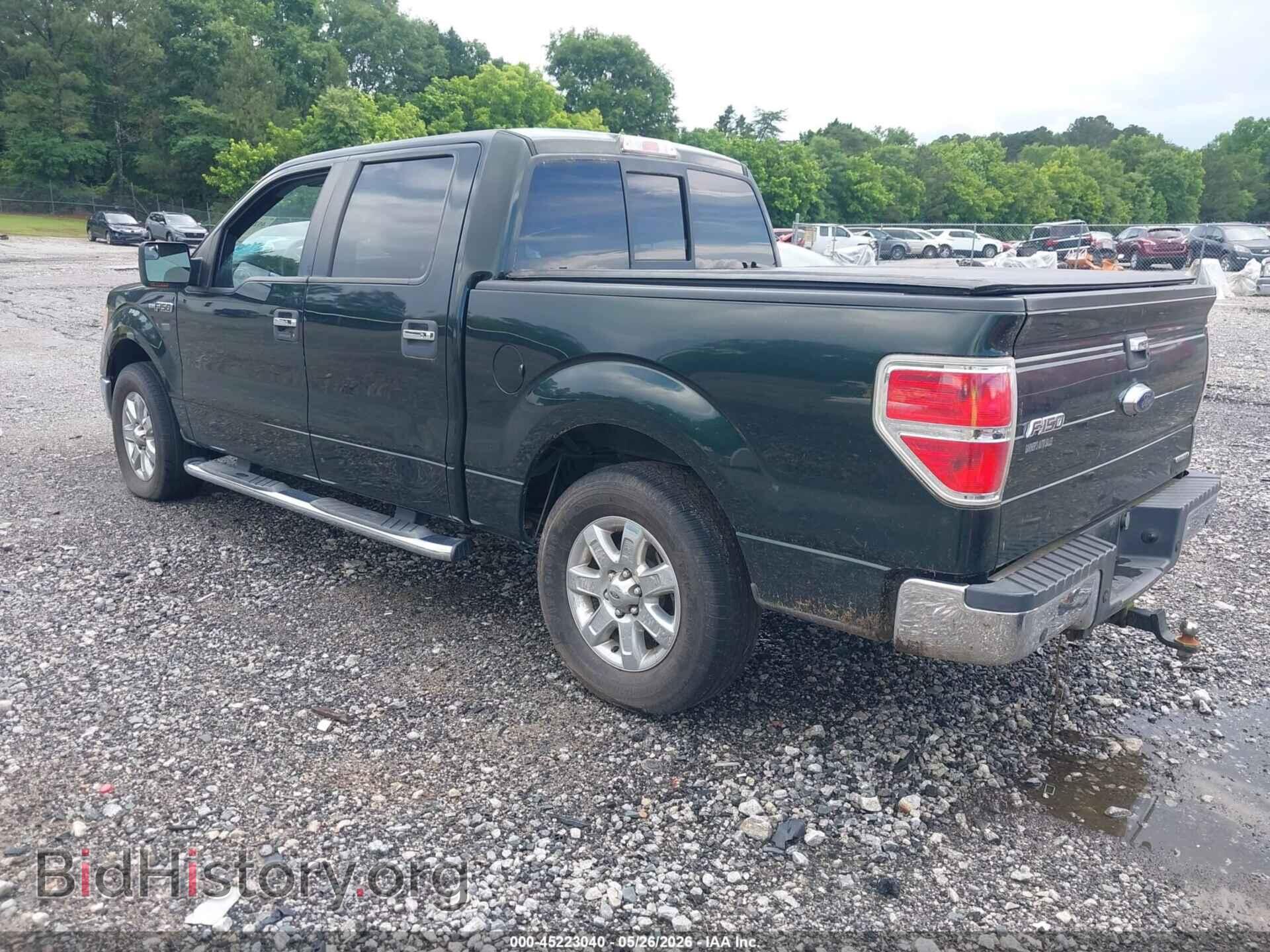 2013 FORD F-150 - VIN: 1FTFW1CF5DFC02480 - Фото 3