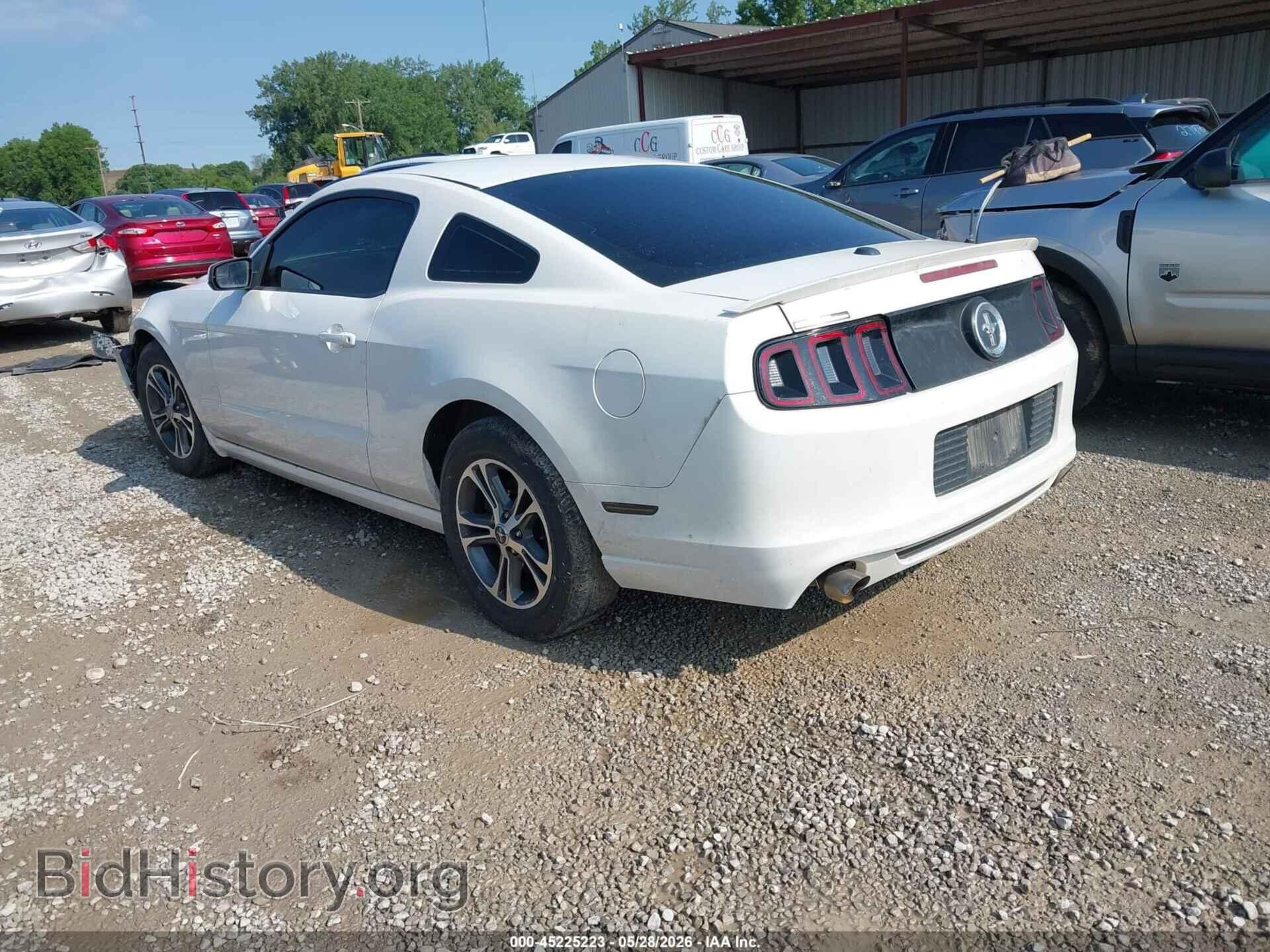 2013 FORD MUSTANG - VIN: 1ZVBP8AM0D5260425 - Фото 3
