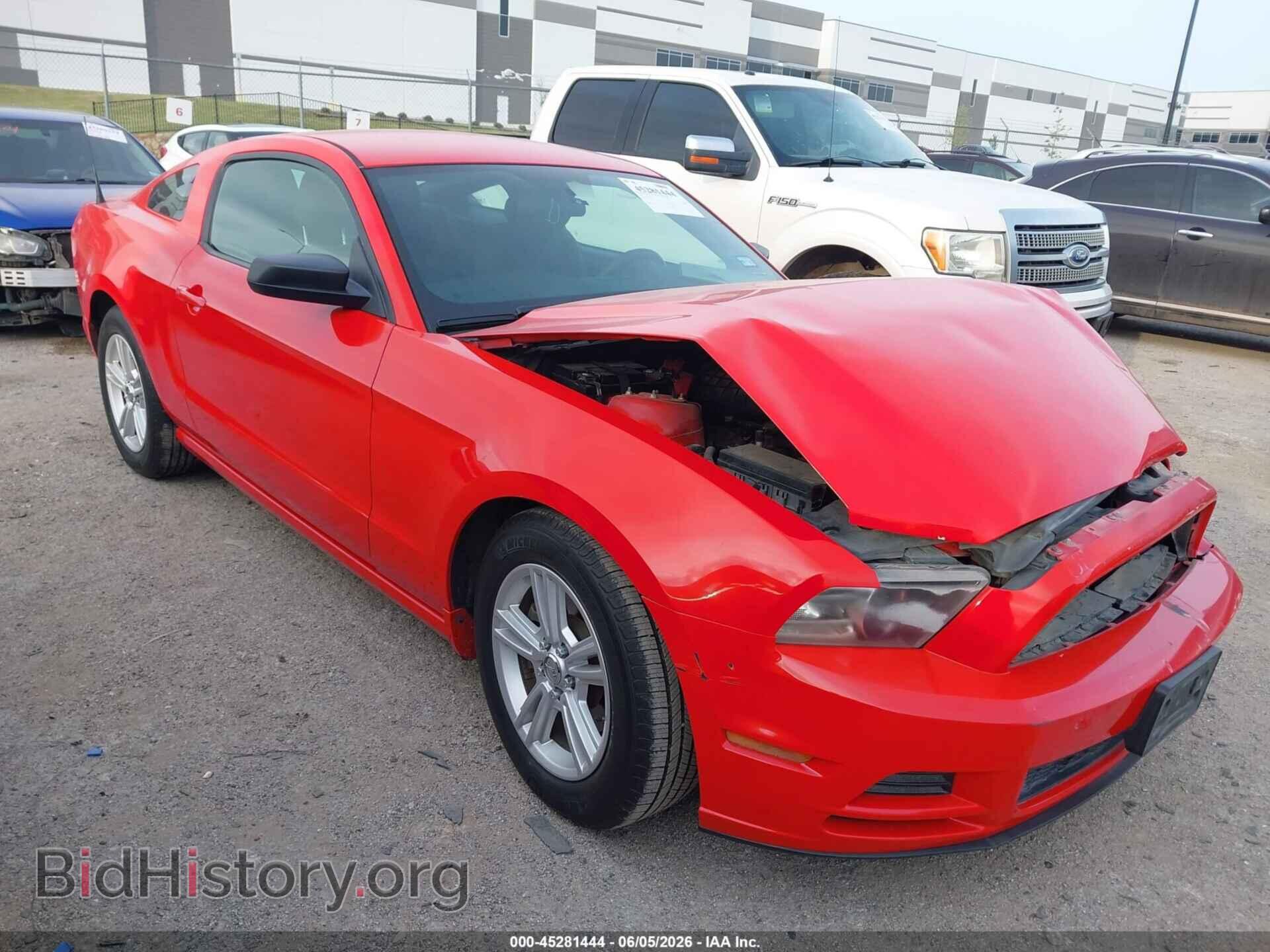 Фотография 1ZVBP8AM5E5301553 - FORD MUSTANG 2014