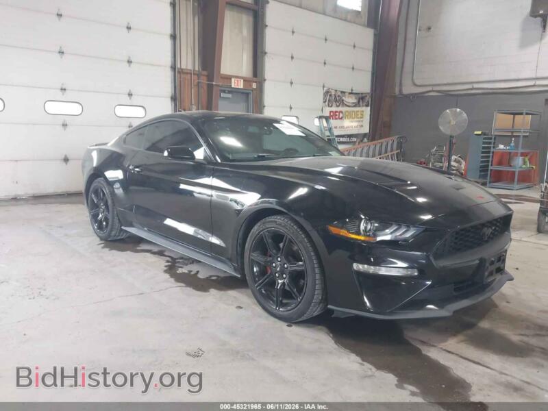 2019 Ford MUSTANG Ecoboost (VIN 1FA6P8TH5K5187124) — фото 1 из 12, IAAI, повреждение: затопление