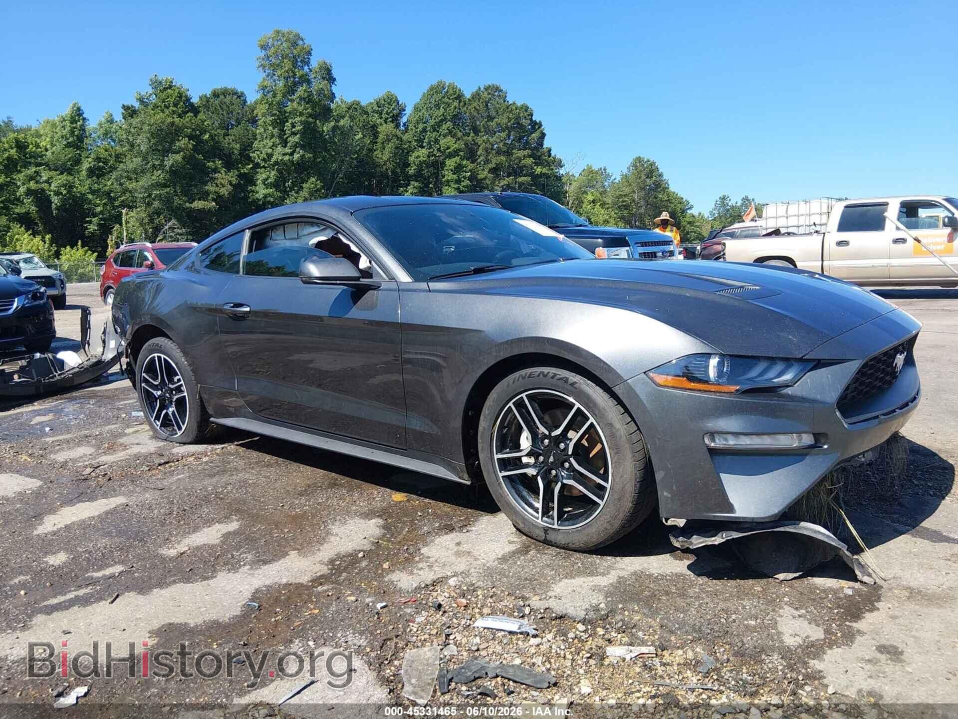 Фотография 1FA6P8TH2K5200105 - FORD MUSTANG 2019
