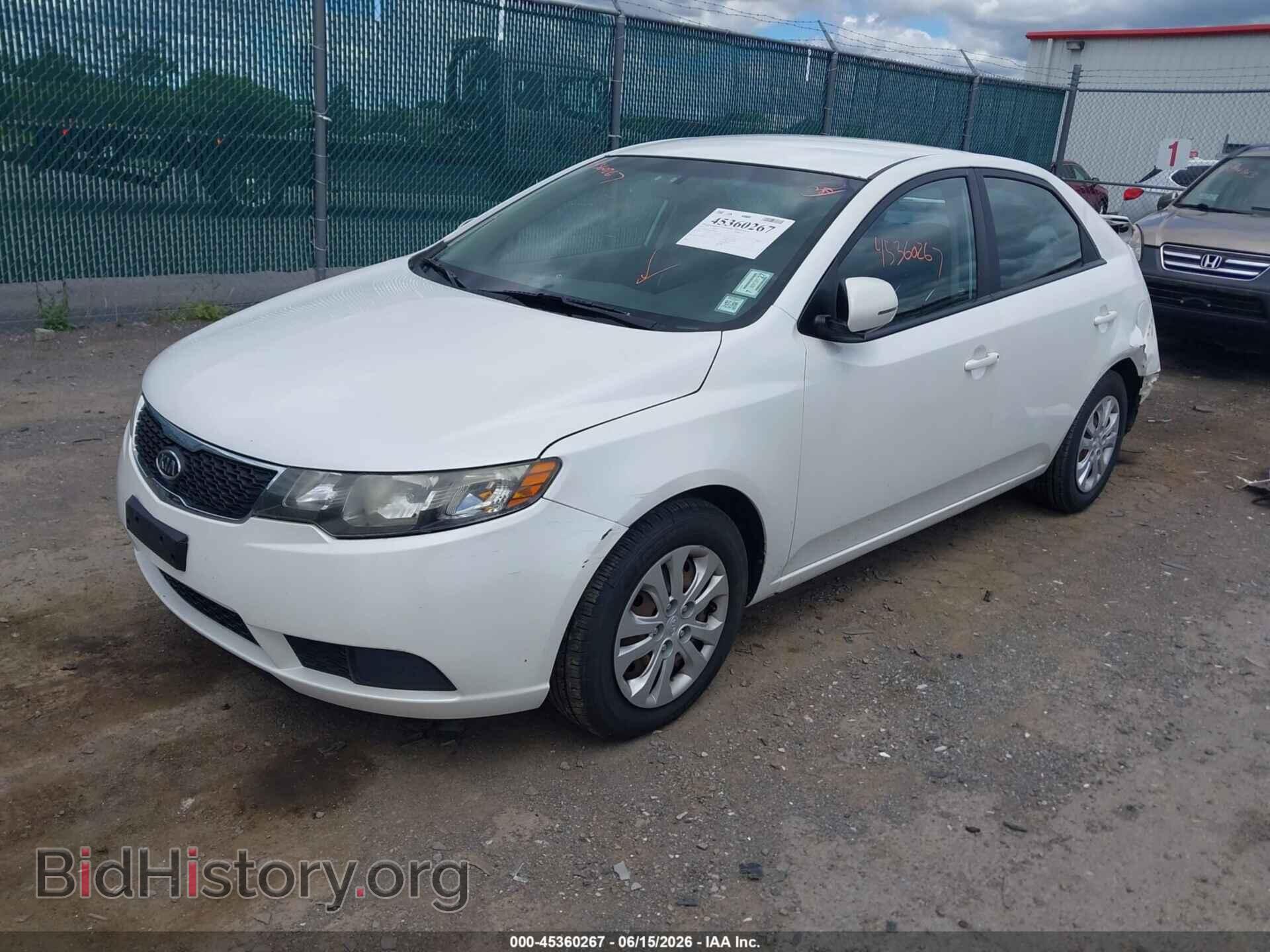 2013 KIA FORTE - VIN: KNAFU4A21D5688229 - Фото 2