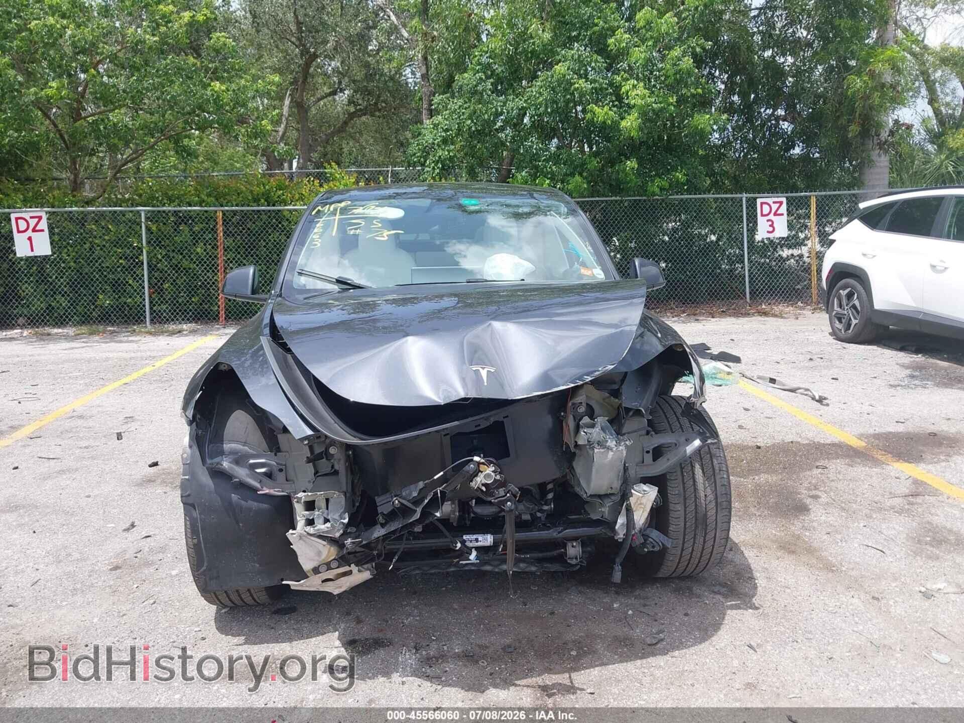 2024 TESLA MODEL Y - VIN: 7SAYGDED1RF016663 - Фото 6