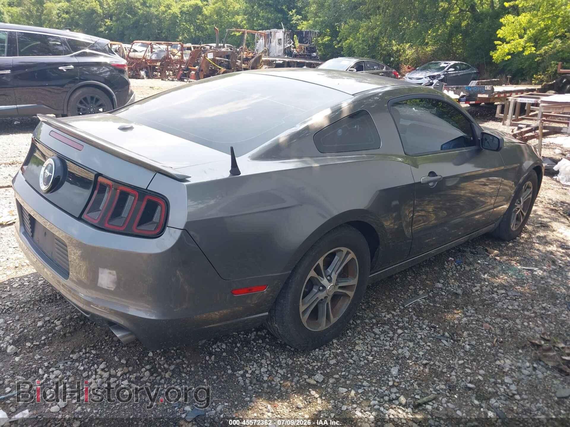 2013 FORD MUSTANG - VIN: 1ZVBP8AM2D5243786 - Фото 4