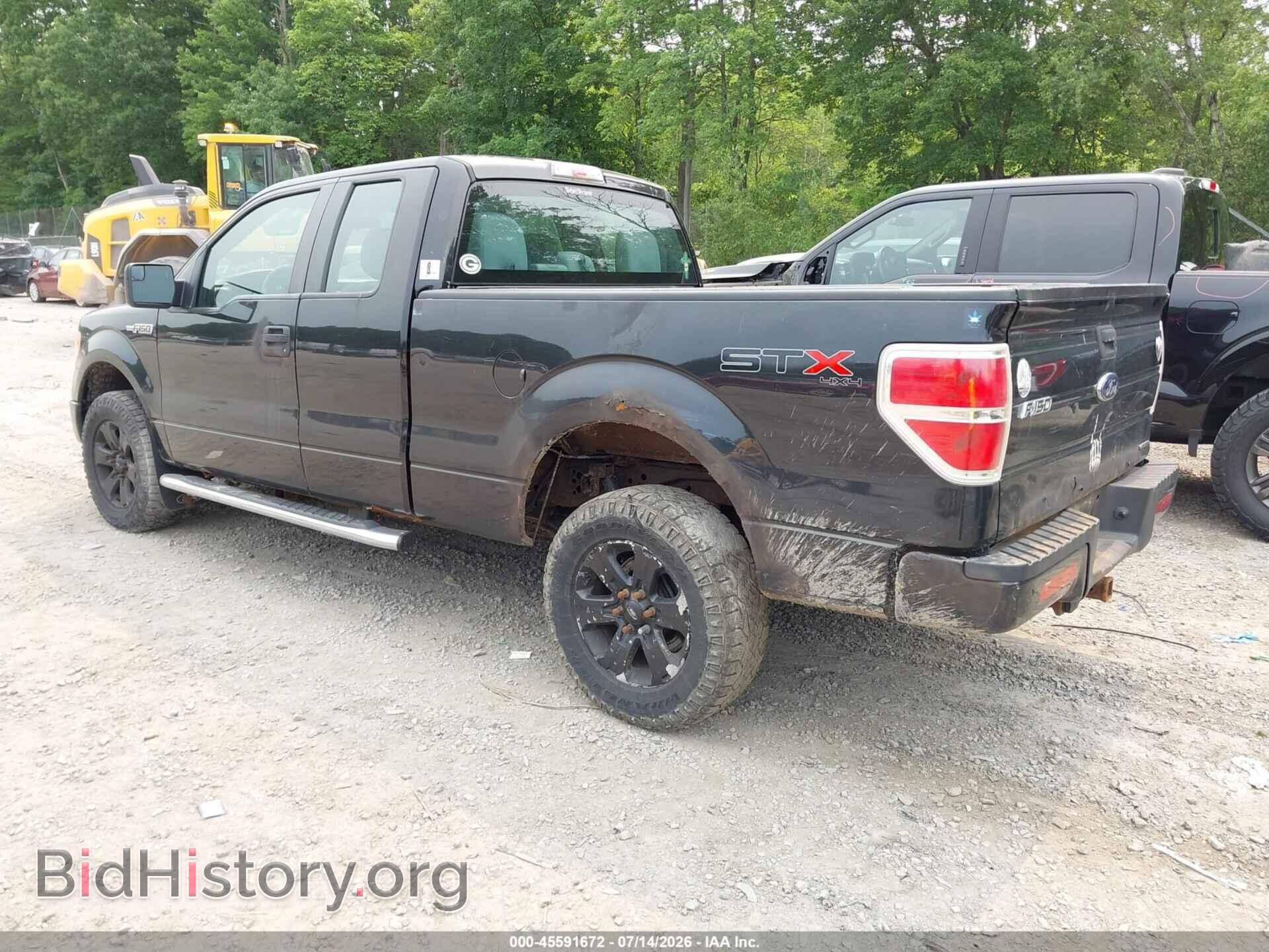 2013 FORD F-150 - VIN: 1FTFX1EF8DFD60807 - Фото 3