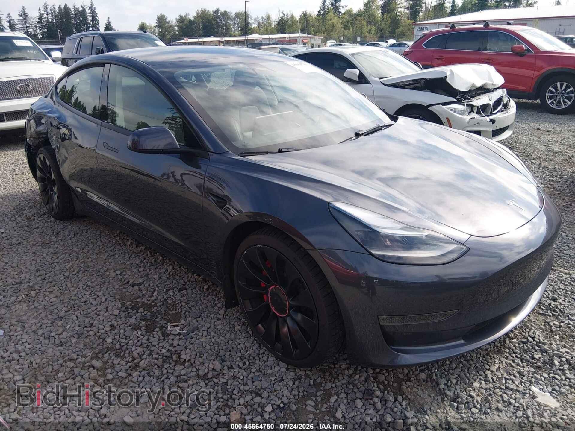 Фотография 5YJ3E1EC3PF462880 - TESLA MODEL 3 2023