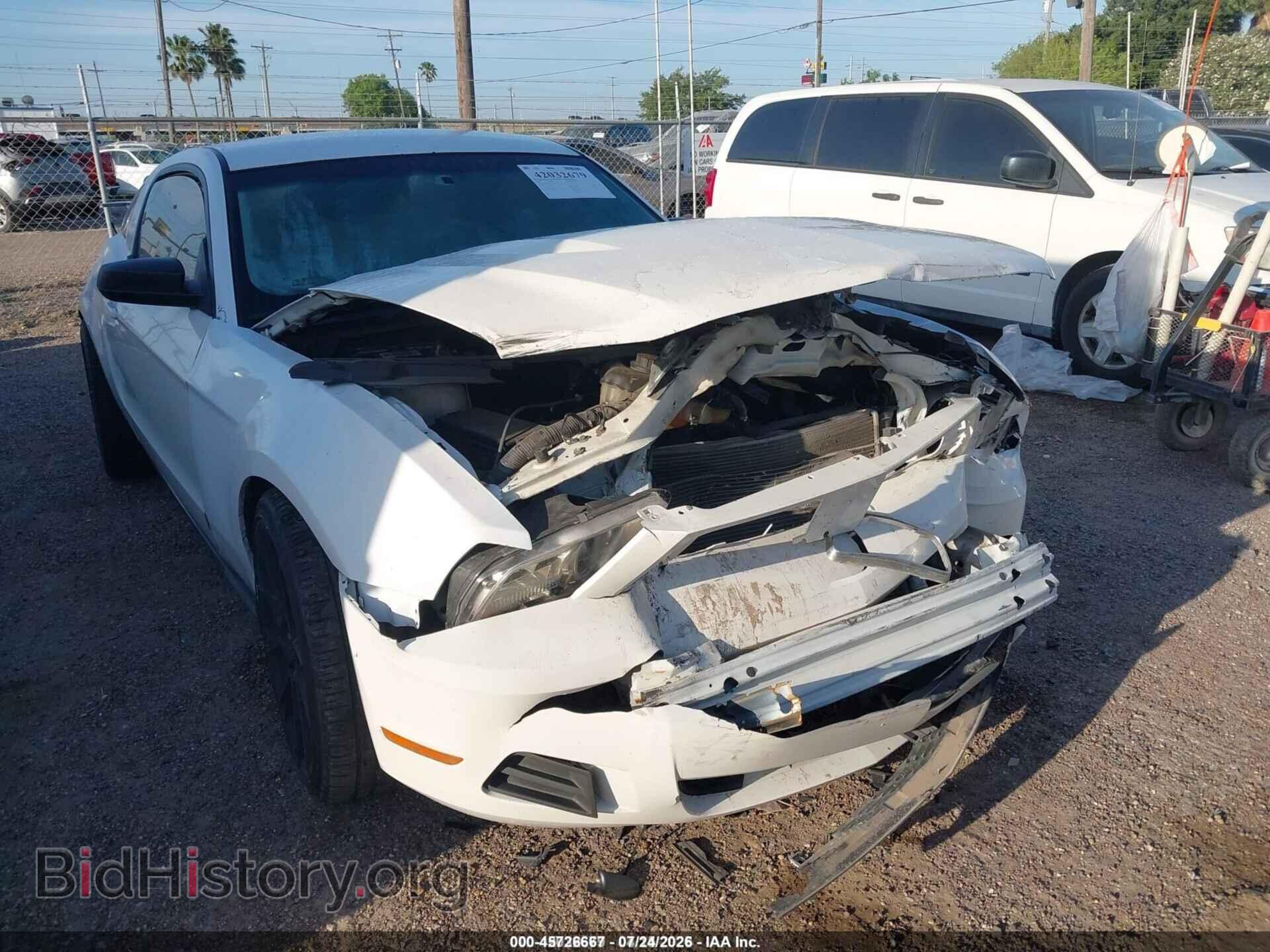 Photo 1ZVBP8AM8C5221452 - FORD MUSTANG 2012
