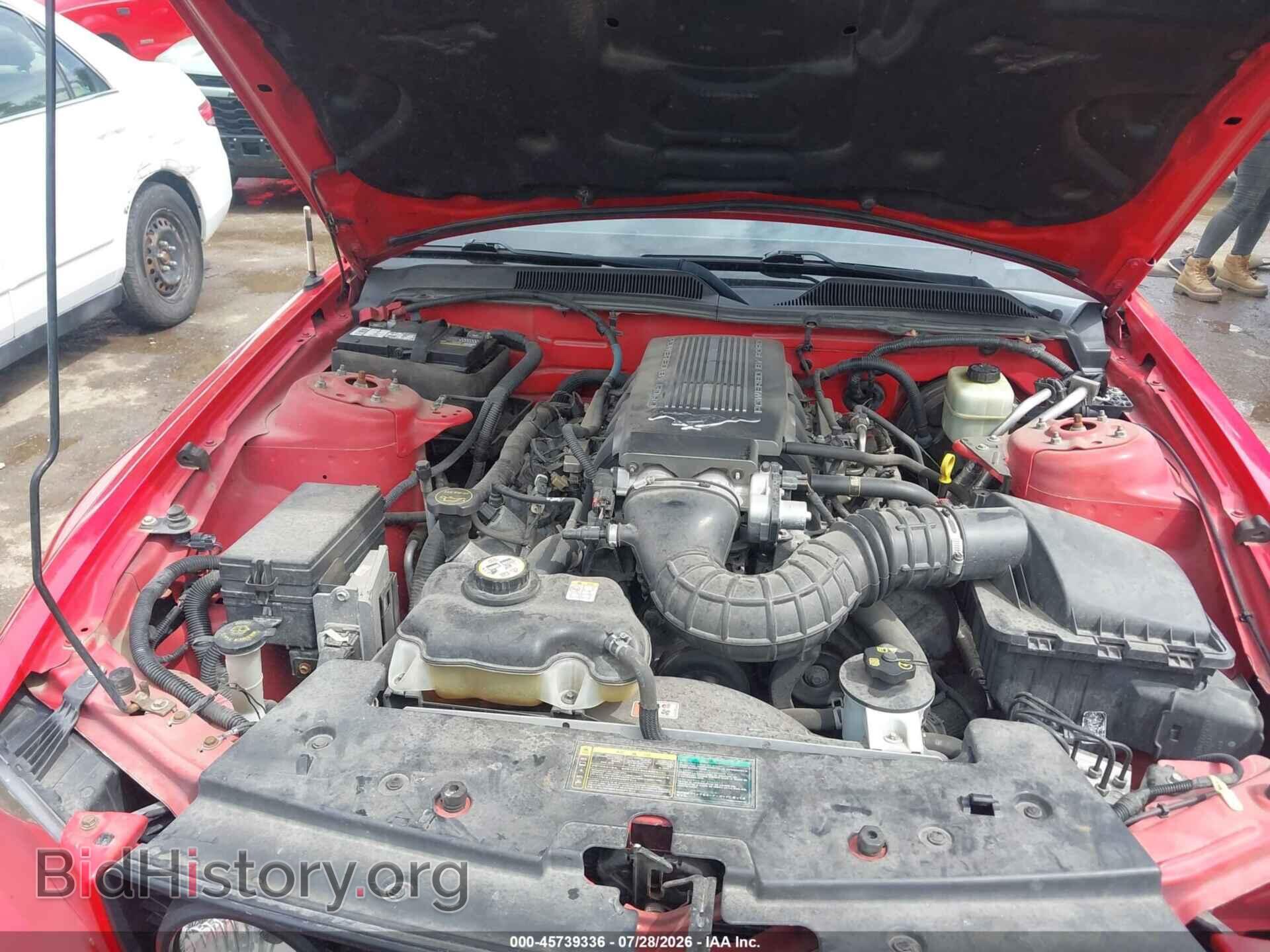 2006 FORD MUSTANG - VIN: 1ZVFT85H965256144 - Фото 10