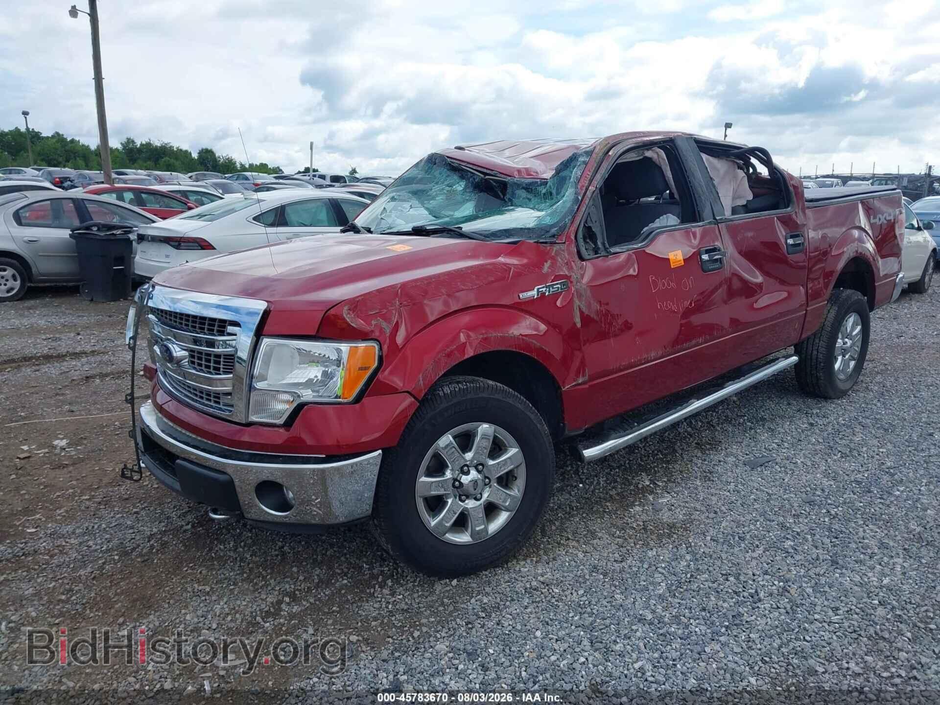 2014 FORD F-150 - VIN: 1FTFW1EF5EFB54834 - Фото 2