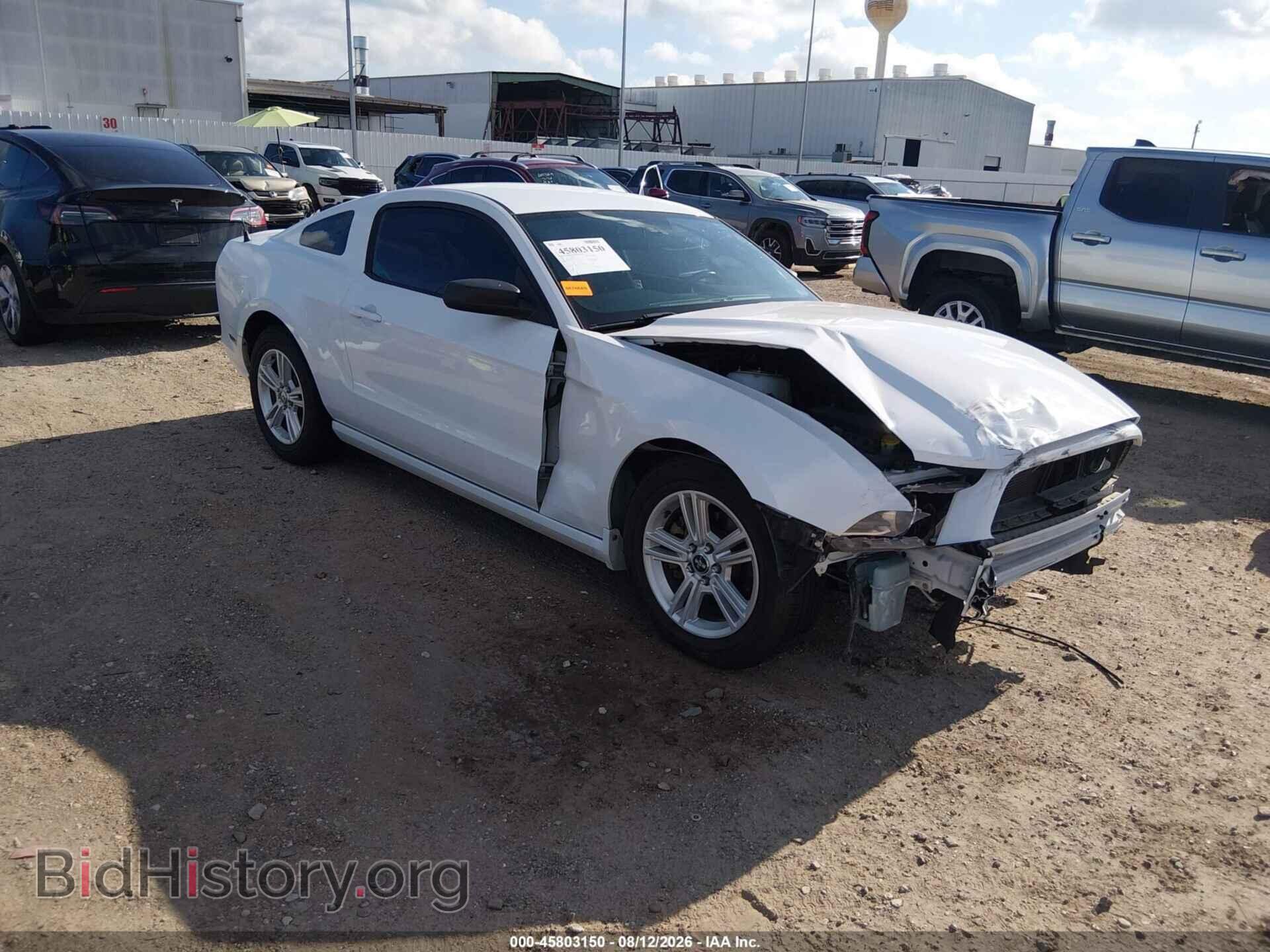 Photo 1ZVBP8AM4E5224142 - FORD MUSTANG 2014
