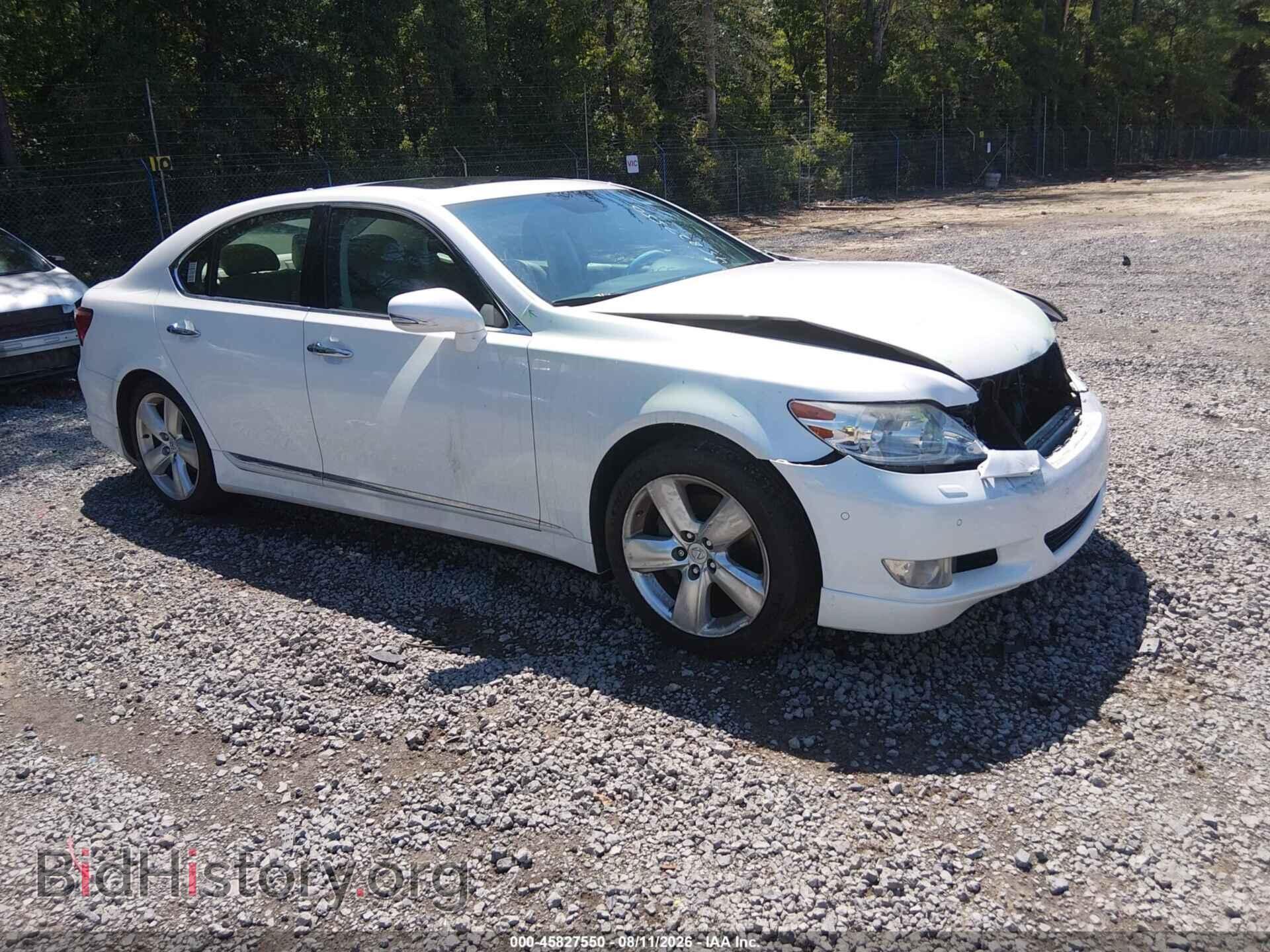 Фотография JTHBL5EF4A5094896 - LEXUS LS 460 2010