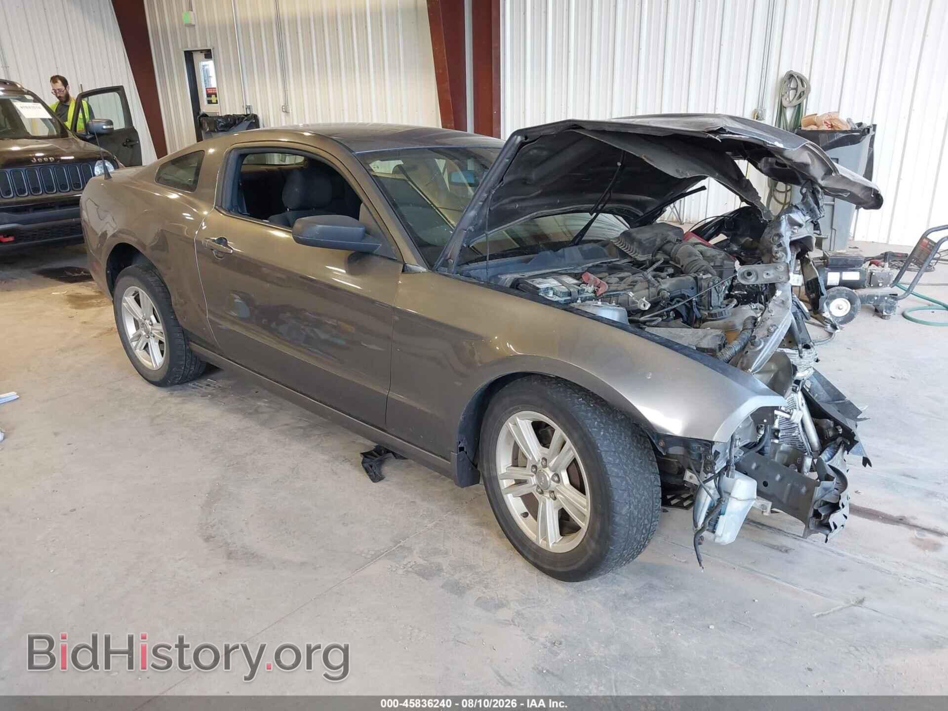 Фотография 1ZVBP8AM4E5204926 - FORD MUSTANG 2014