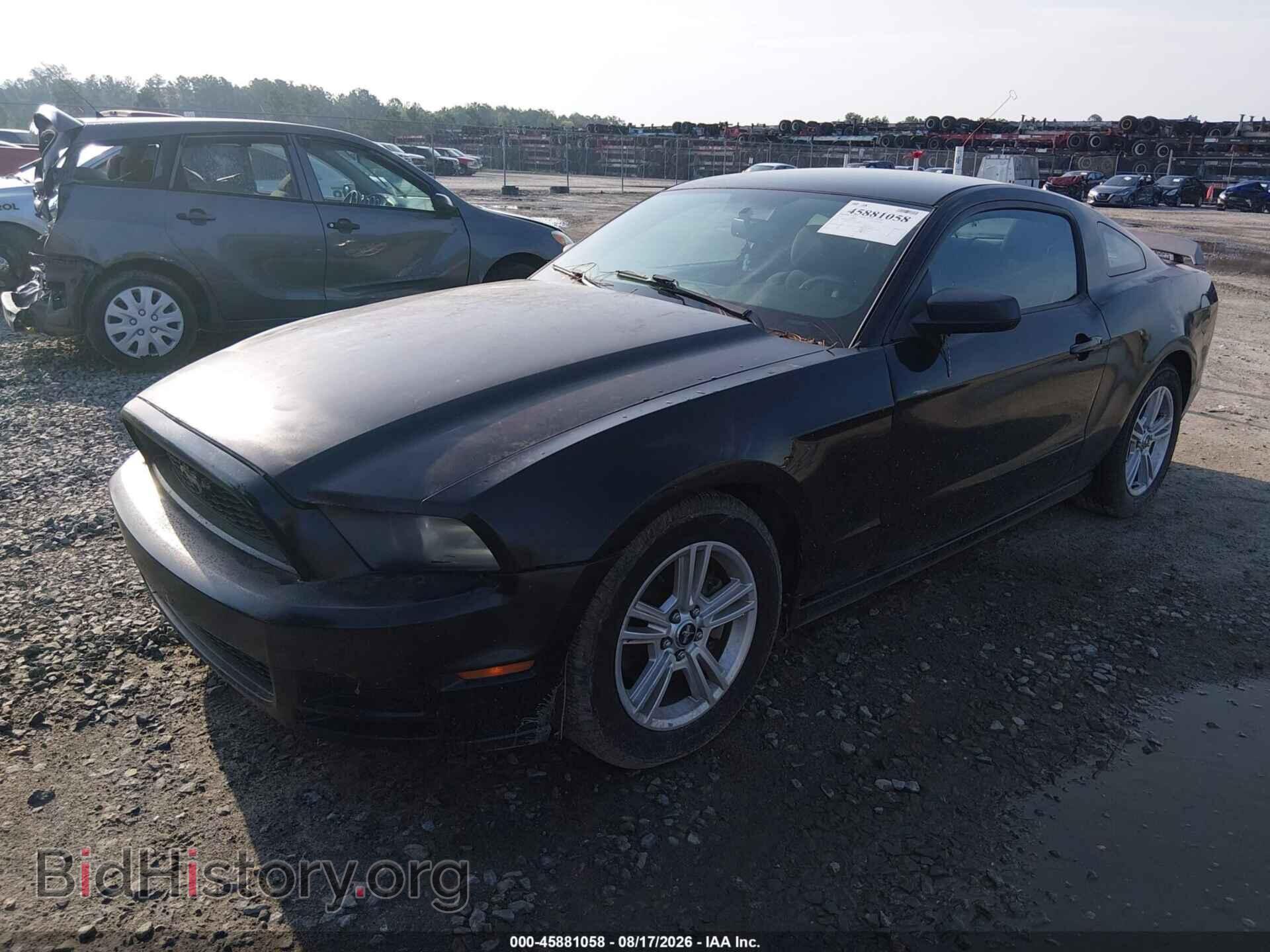2013 FORD MUSTANG - VIN: 1ZVBP8AM4D5241778 - Фото 2