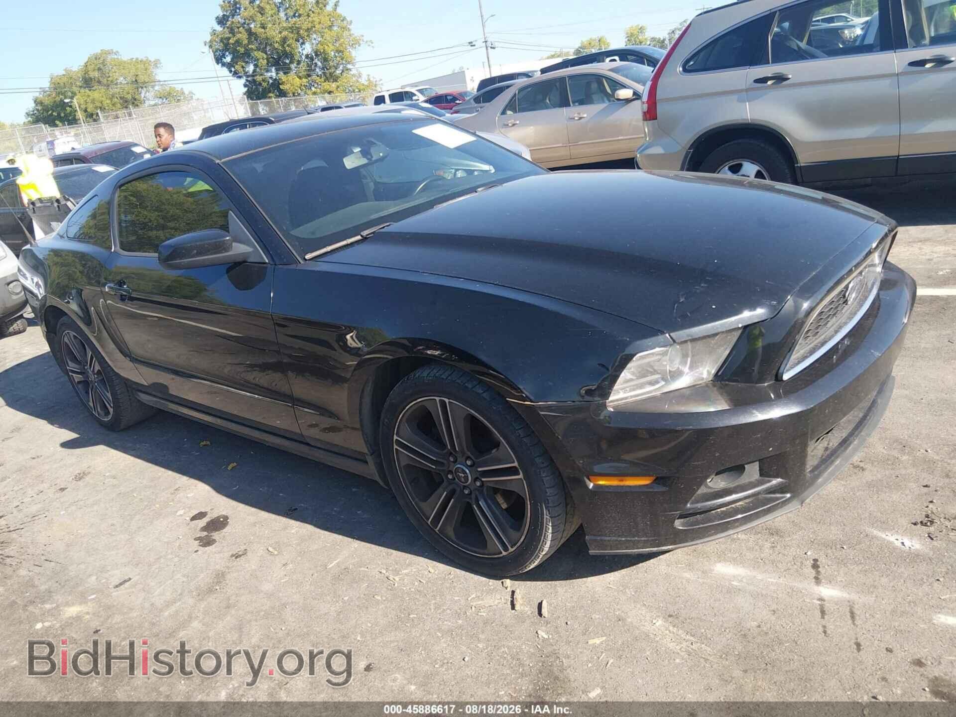Photo 1ZVBP8AM8D5263220 - FORD MUSTANG 2013