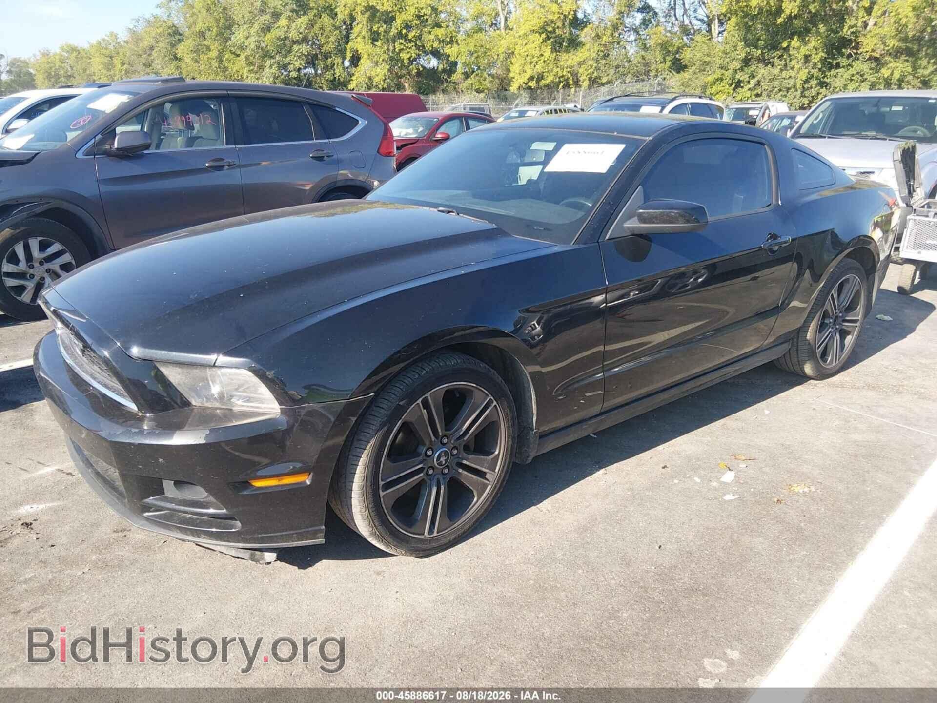2013 FORD MUSTANG - VIN: 1ZVBP8AM8D5263220 - Фото 2