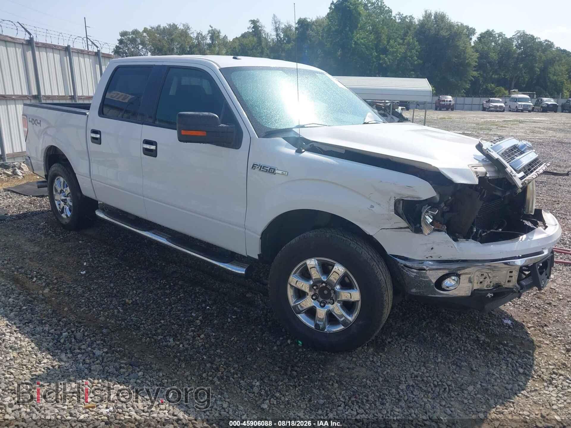 Фотография 1FTFW1EF8DFA34931 - FORD F-150 2013