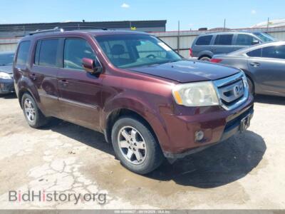 2009 Honda PILOT Touring, темно-бордовый — VIN 5FNYF48919B053722, IAAI