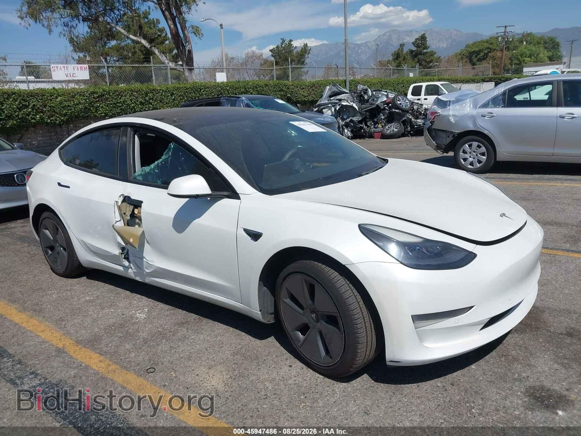 Photo 5YJ3E1EA7MF003524 - TESLA MODEL 3 2021