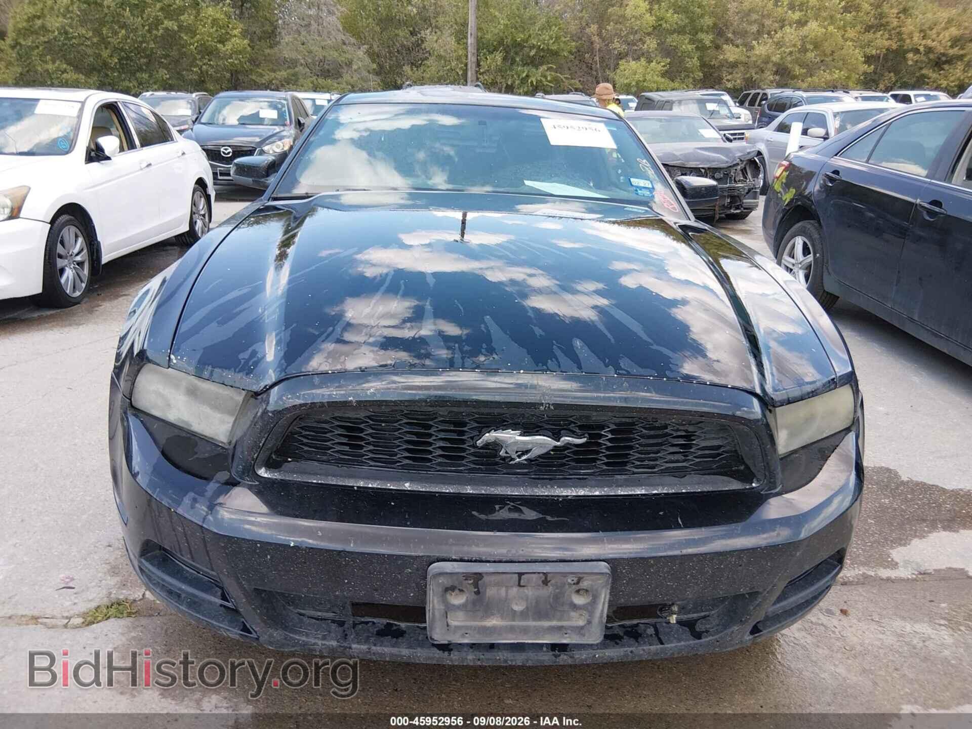 2013 FORD MUSTANG - VIN: 1ZVBP8AM1D5215946 - Фото 12