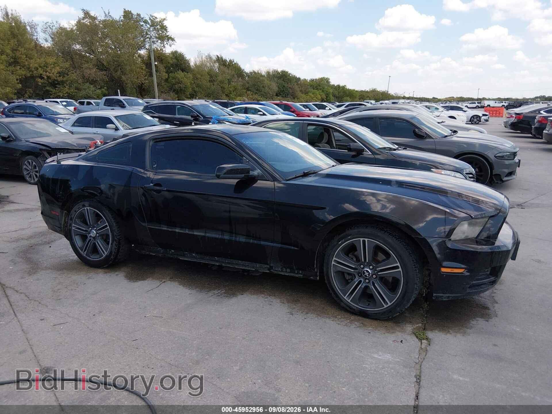2013 FORD MUSTANG - VIN: 1ZVBP8AM1D5215946 - Фото 13