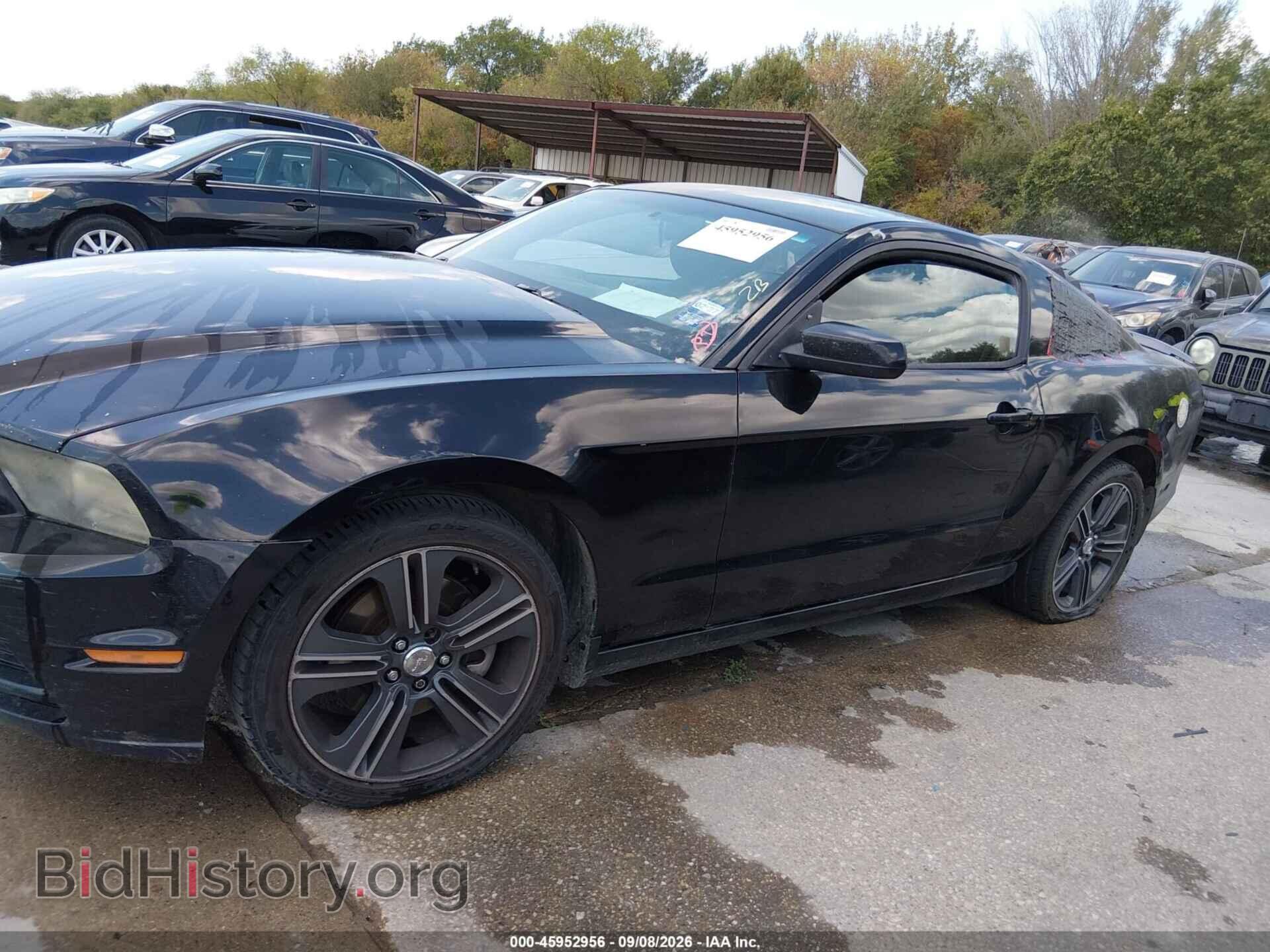 2013 FORD MUSTANG - VIN: 1ZVBP8AM1D5215946 - Фото 14