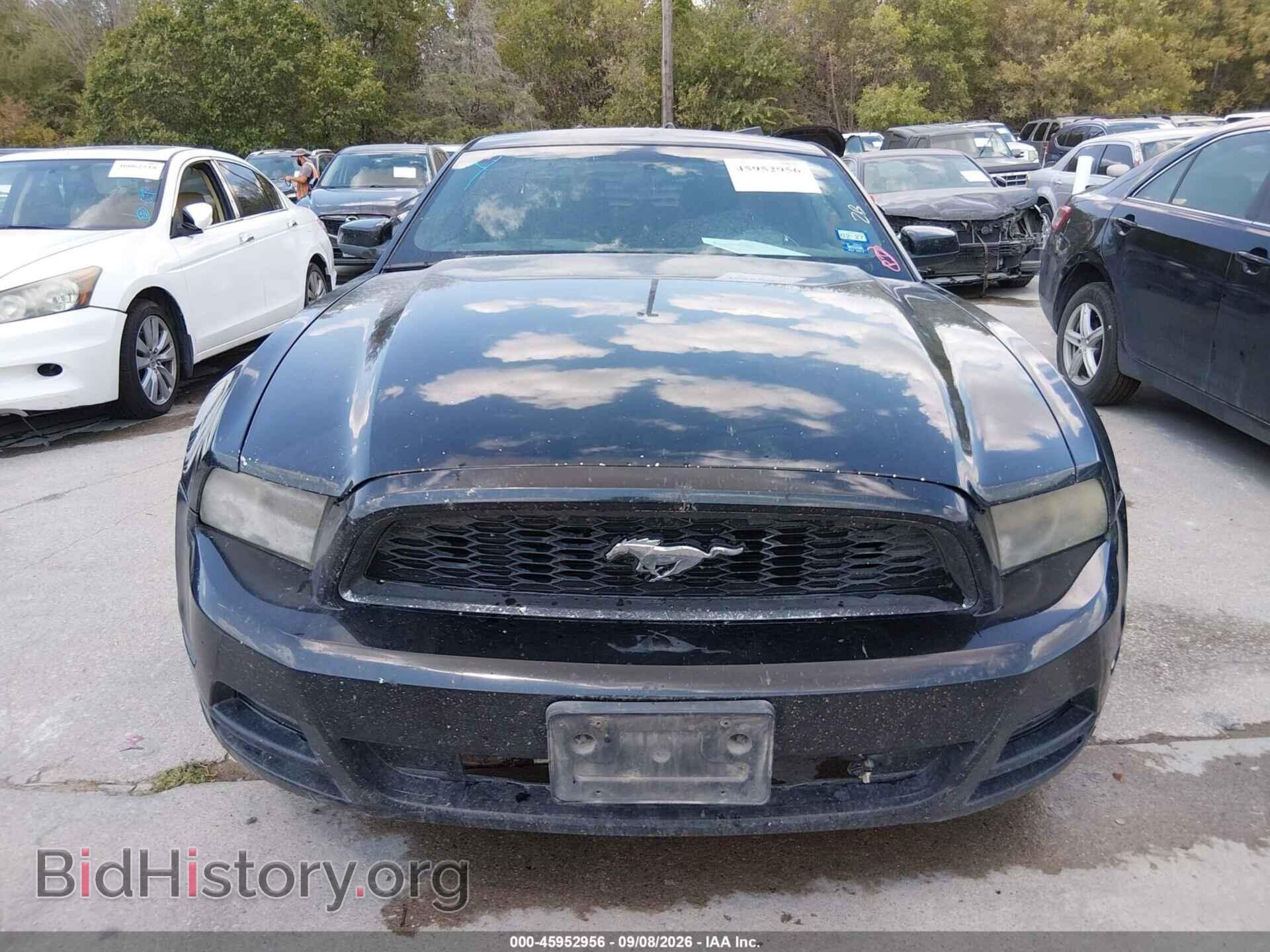 2013 FORD MUSTANG - VIN: 1ZVBP8AM1D5215946 - Фото 6