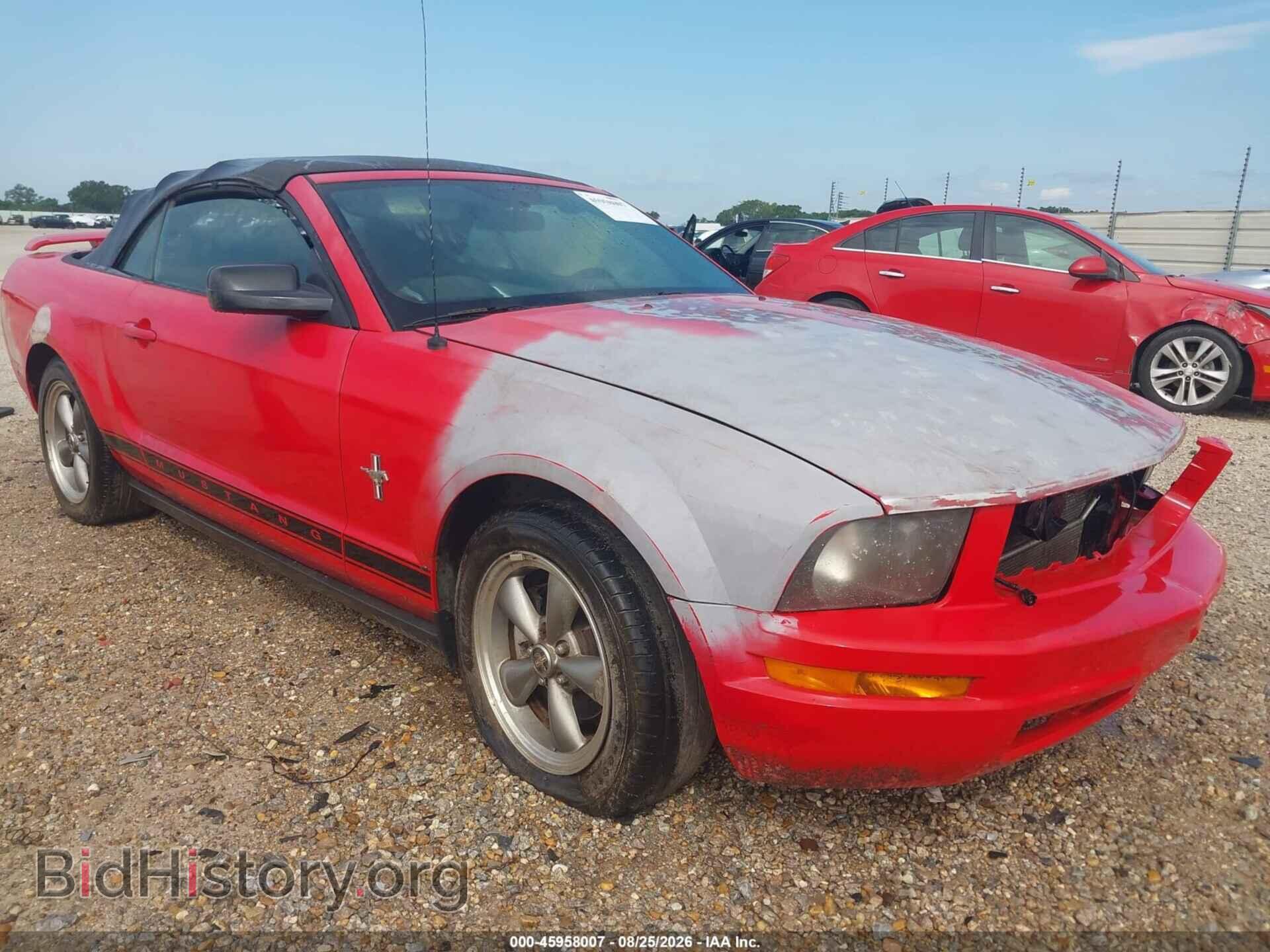 Photo 1ZVHT84N965228585 - FORD MUSTANG 2006