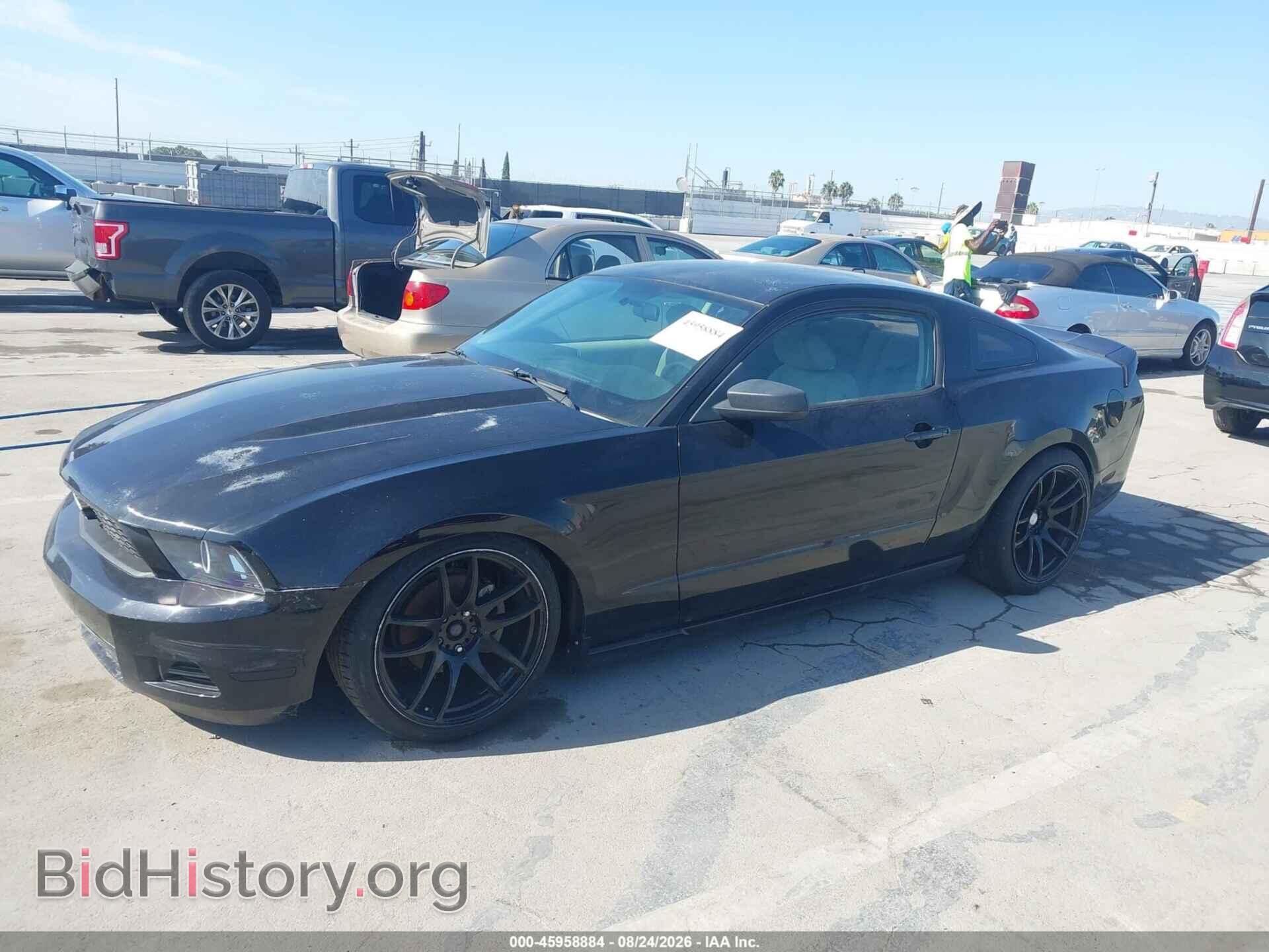 2010 FORD MUSTANG - VIN: 1ZVBP8AN9A5129546 - Фото 2