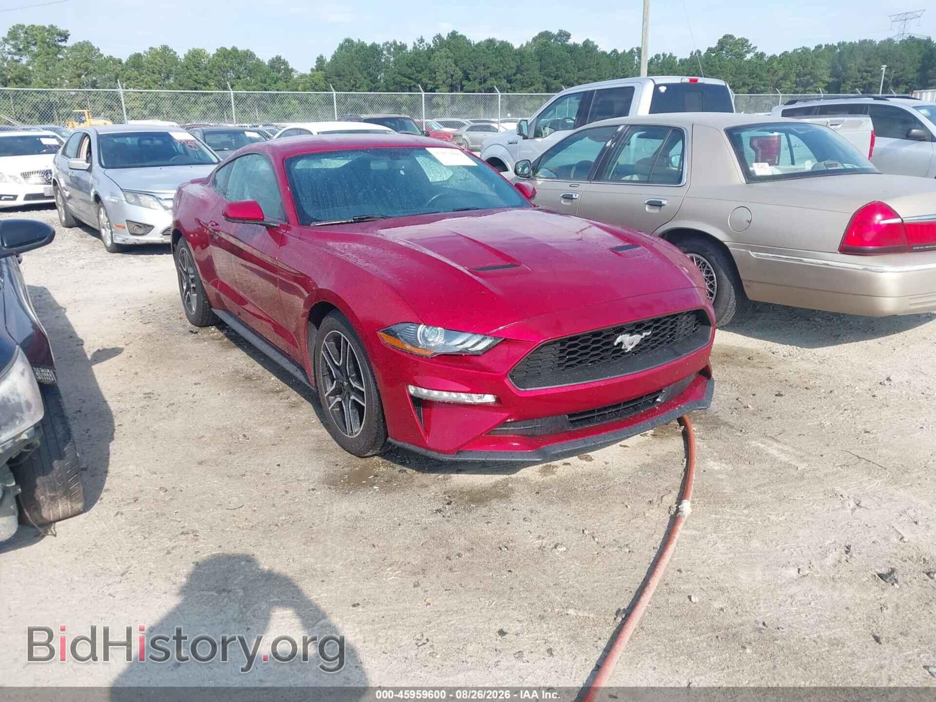 Фотография 1FA6P8TH2K5116477 - FORD MUSTANG 2019
