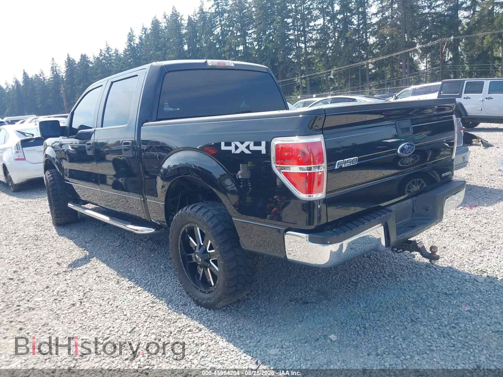 2013 FORD F-150 - VIN: 1FTFW1EF1DFA54471 - Фото 3