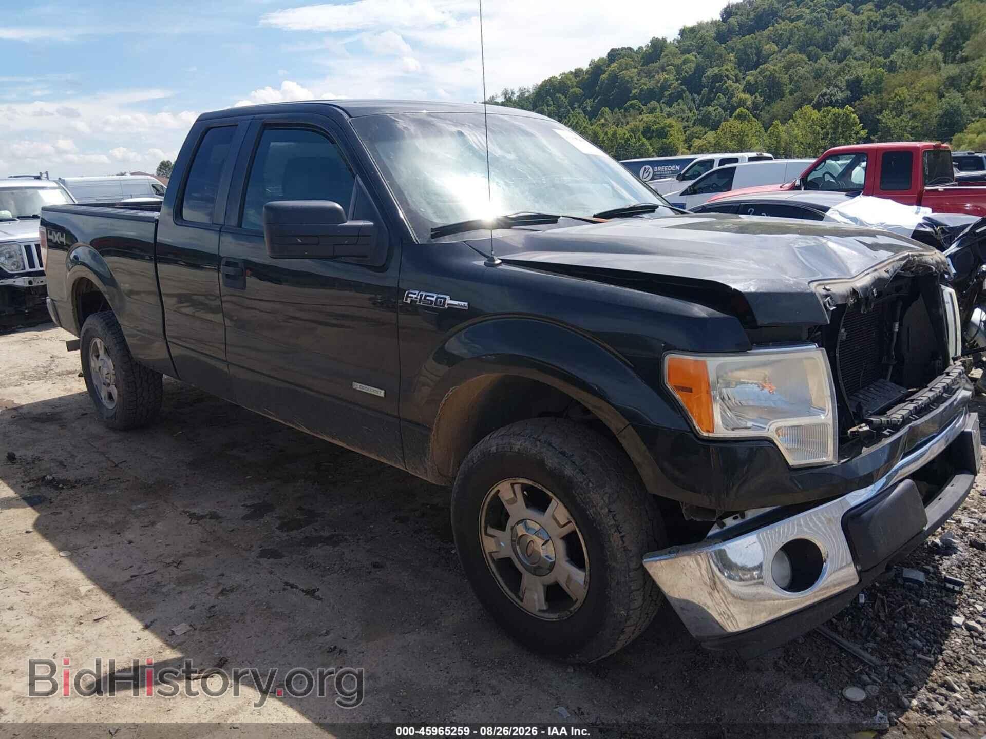 Фотография 1FTFX1ET9CFA91303 - FORD F-150 2012