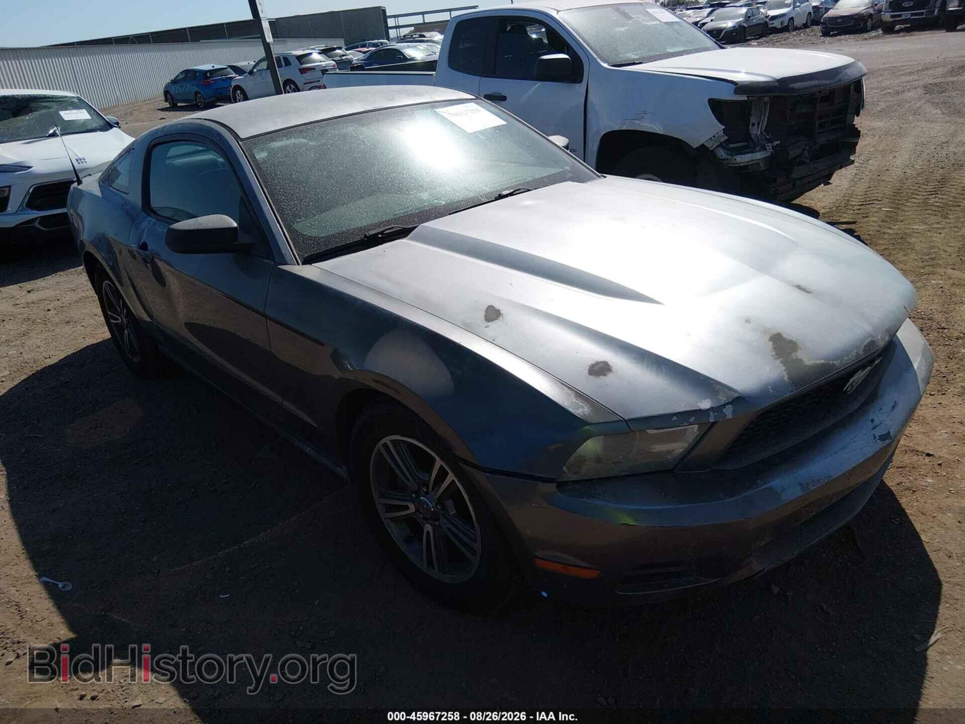Фотография 1ZVBP8AN8A5126749 - FORD MUSTANG 2010