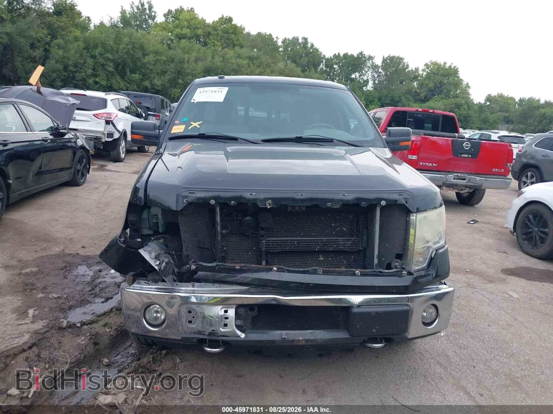 2010 FORD F-150 - VIN: 1FTEX1E81AFA94667 - Фото 12