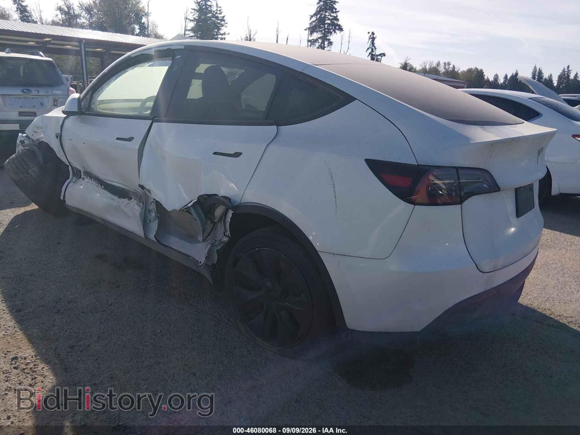 2025 TESLA MODEL Y - VIN: 7SAYGDEEXSF238018 - Photo 3