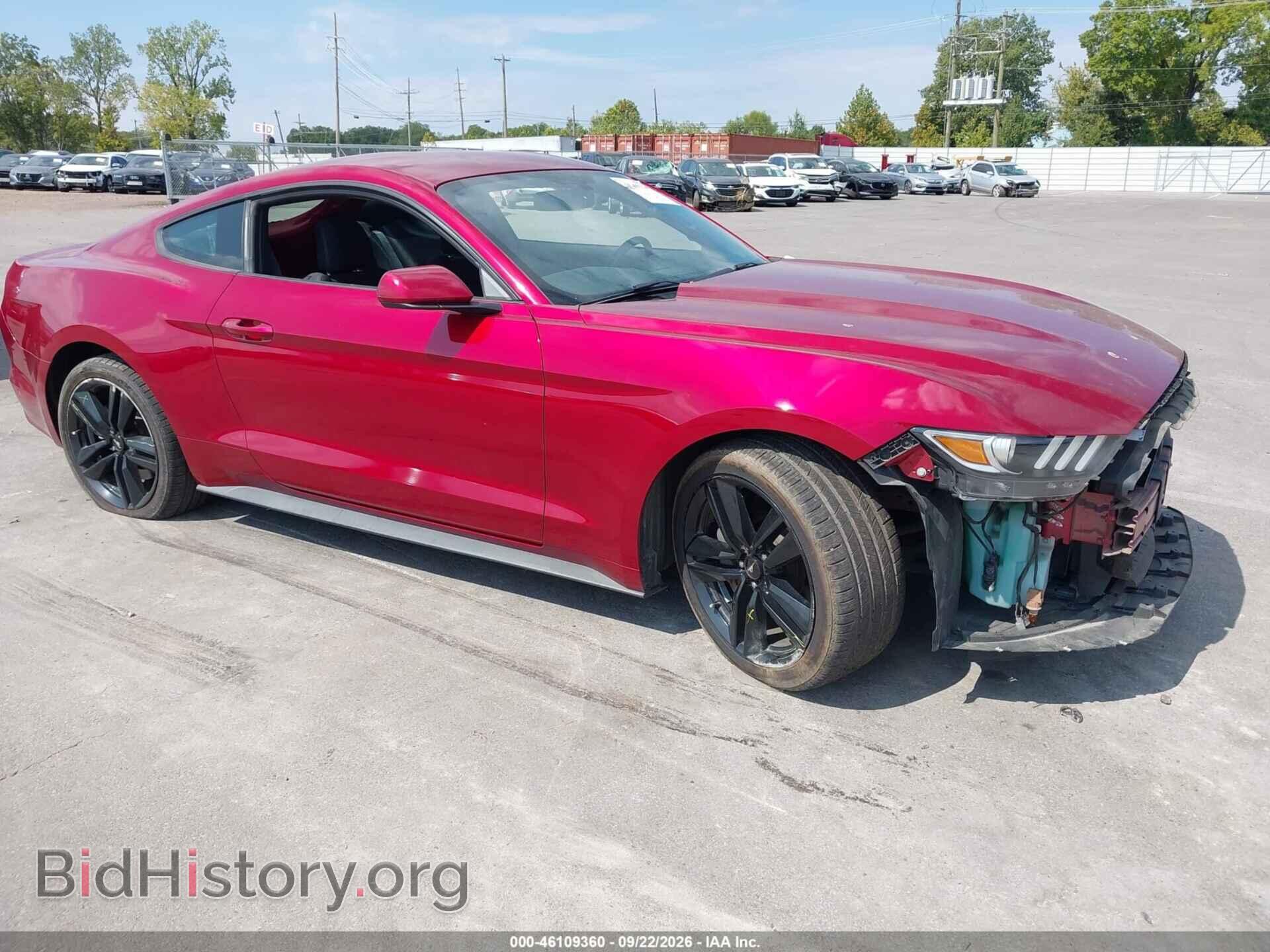 Фотография 1FA6P8TH3H5332556 - FORD MUSTANG 2017