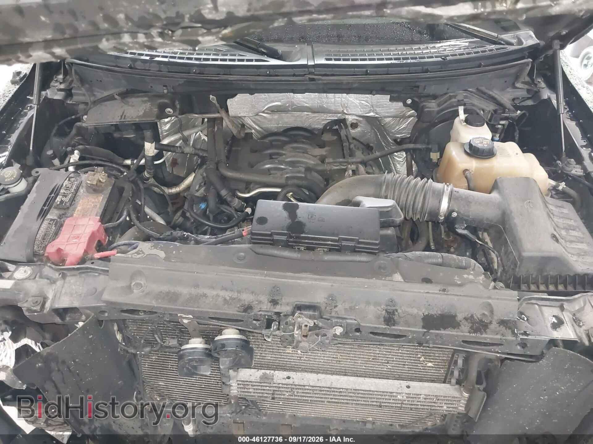 2011 FORD F-150 - VIN: 1FTFW1EF6BFB97428 - Фото 10