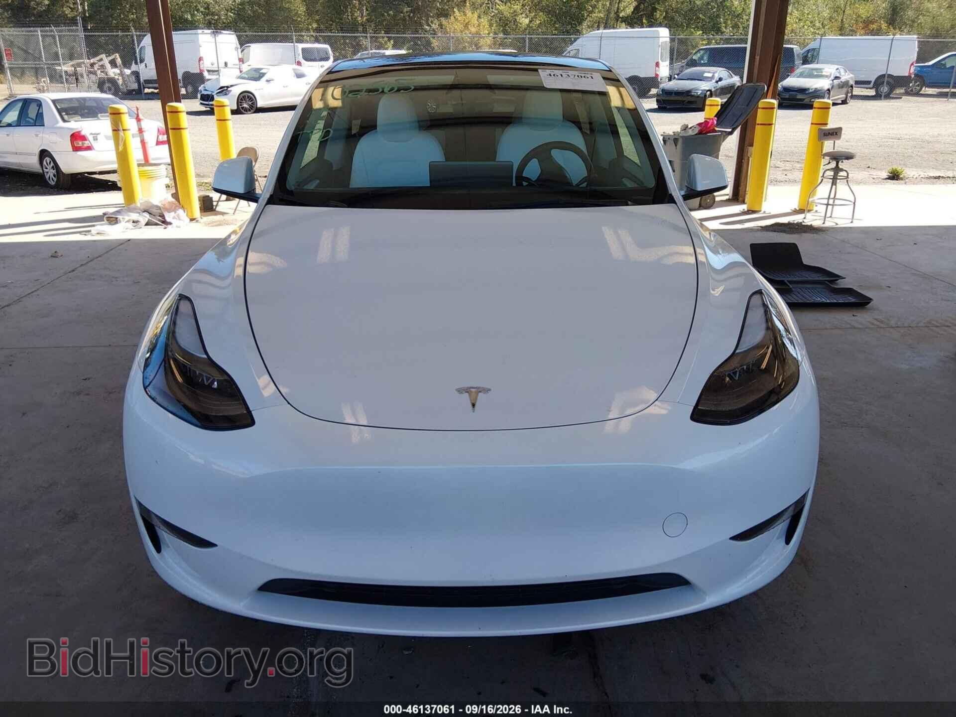 2024 TESLA MODEL Y - VIN: 7SAYGDEEXRF047760 - Фото 11