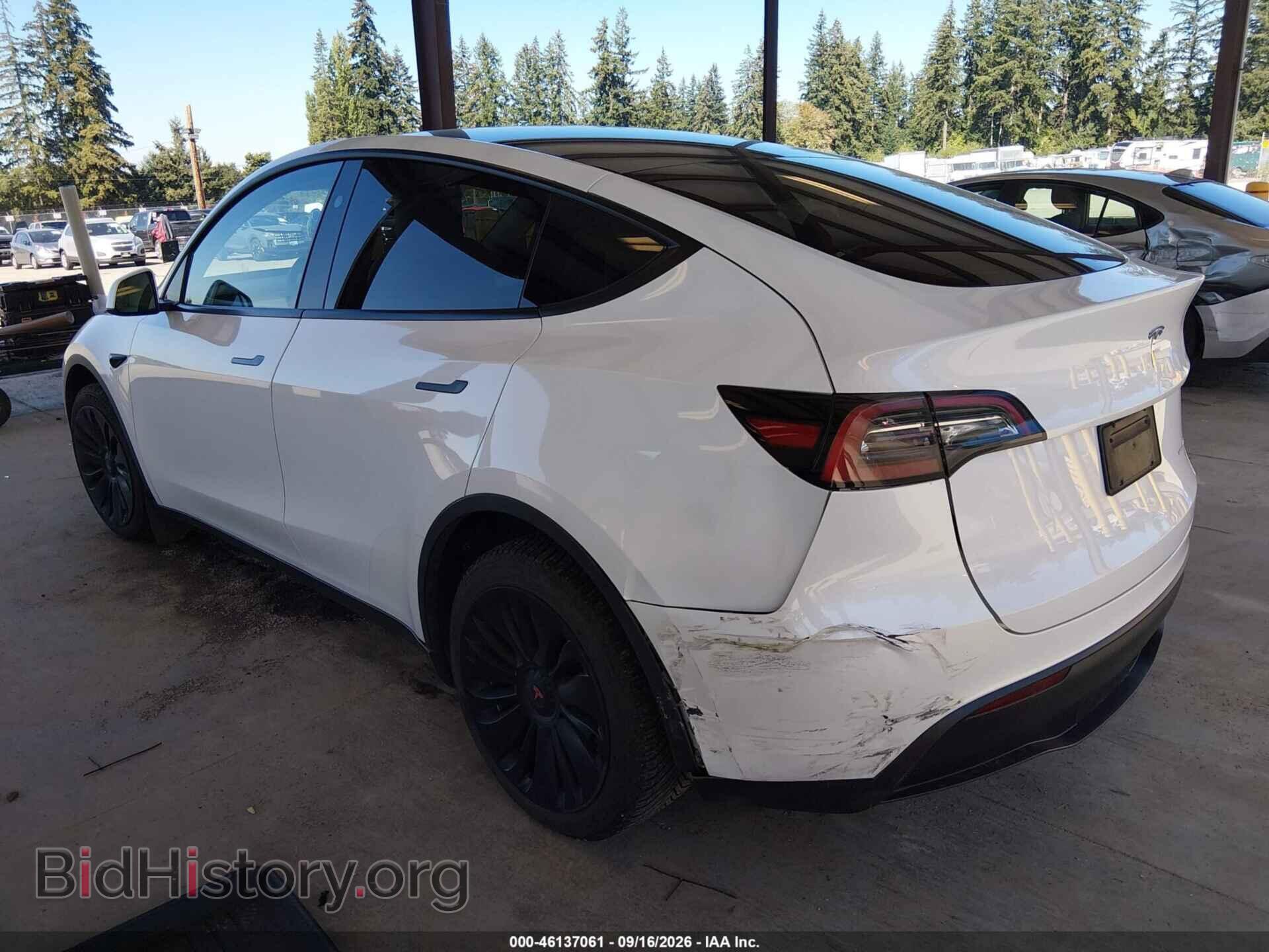 2024 TESLA MODEL Y - VIN: 7SAYGDEEXRF047760 - Фото 3