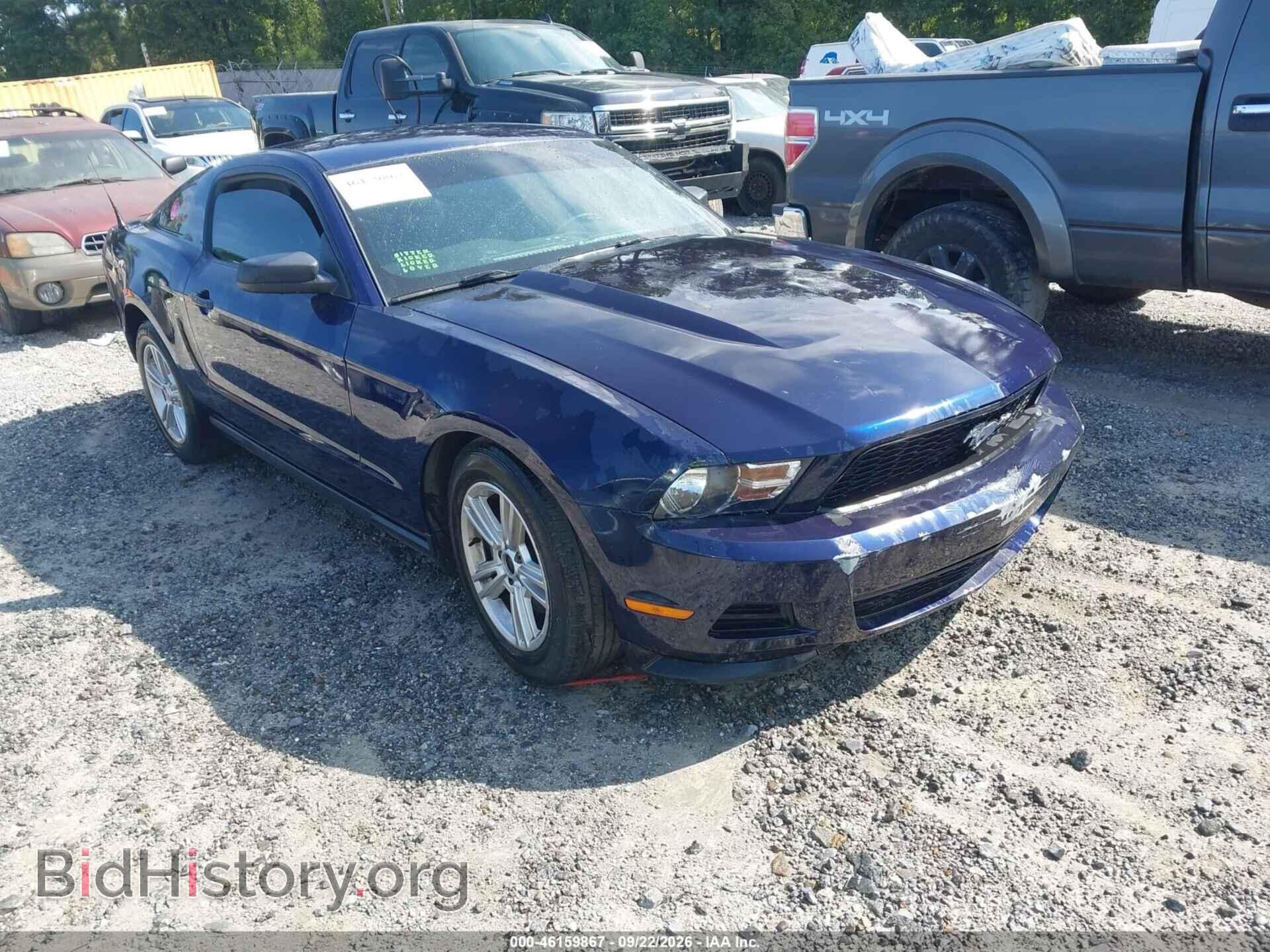 Фотография 1ZVBP8AM2C5247612 - FORD MUSTANG 2012
