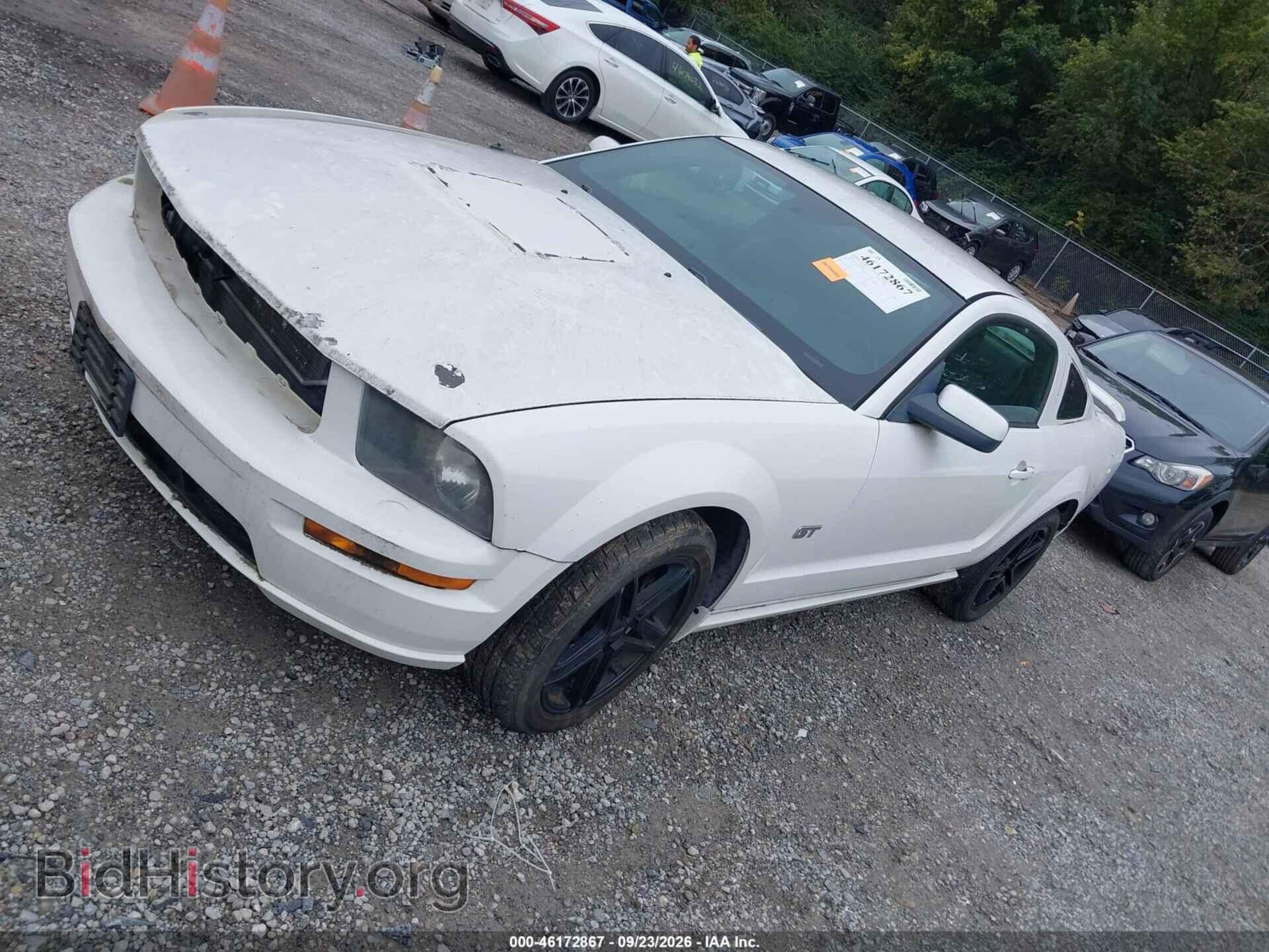 2006 FORD MUSTANG - VIN: 1ZVFT82H165162618 - Фото 2