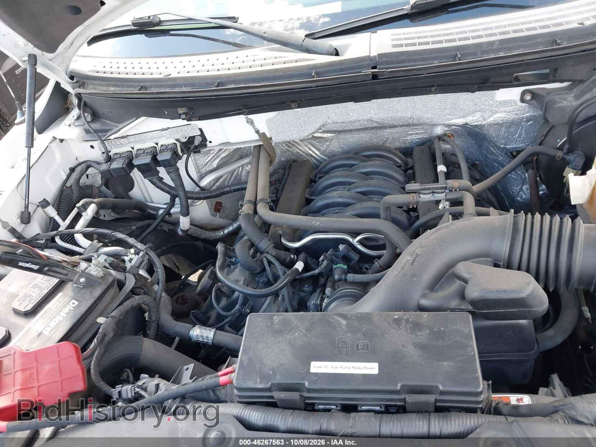 2013 FORD F-150 - VIN: 1FTFX1EF9DFB94541 - Фото 10