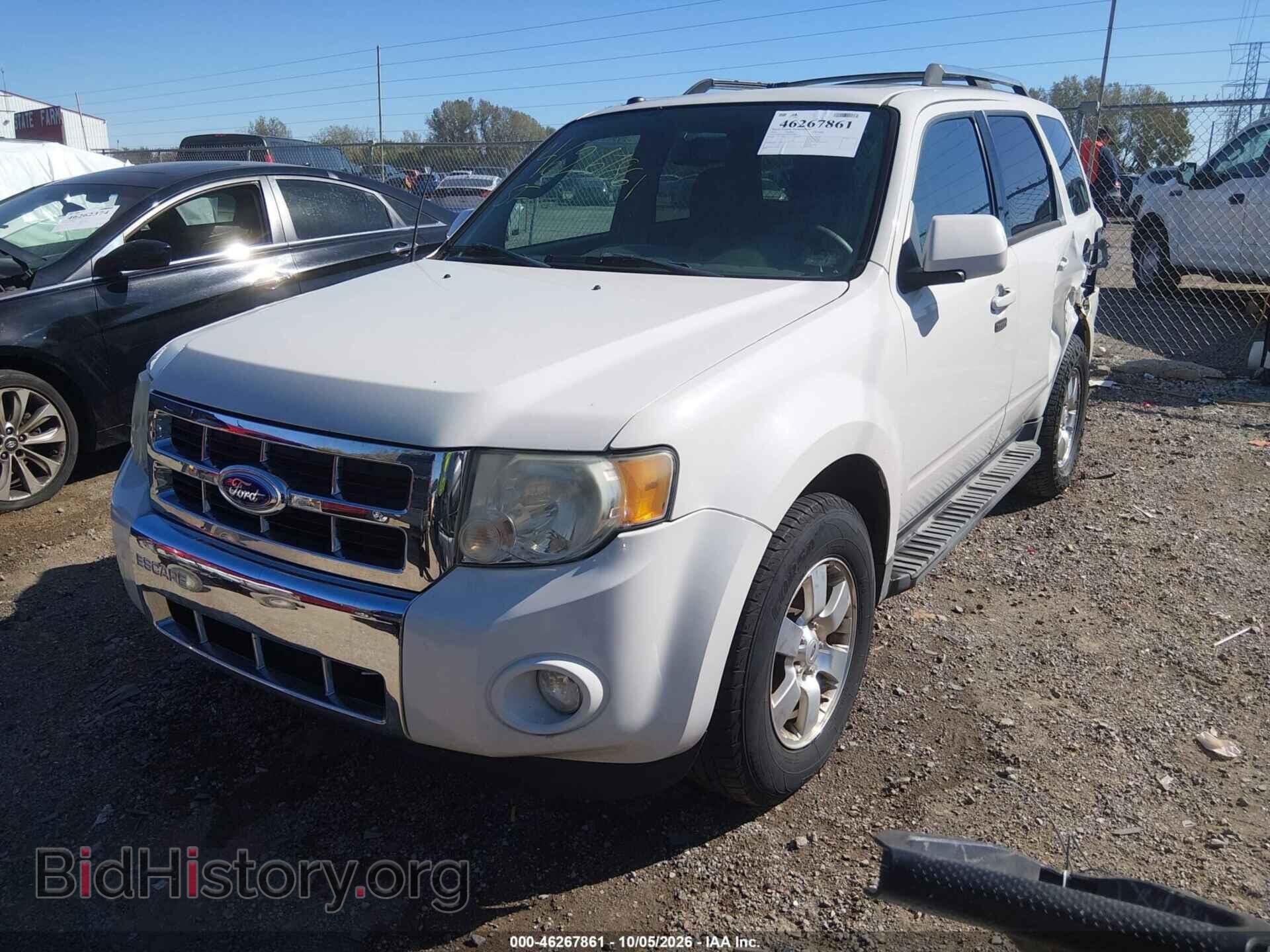 2011 FORD ESCAPE - VIN: 1FMCU9EG1BKC03509 - Фото 2